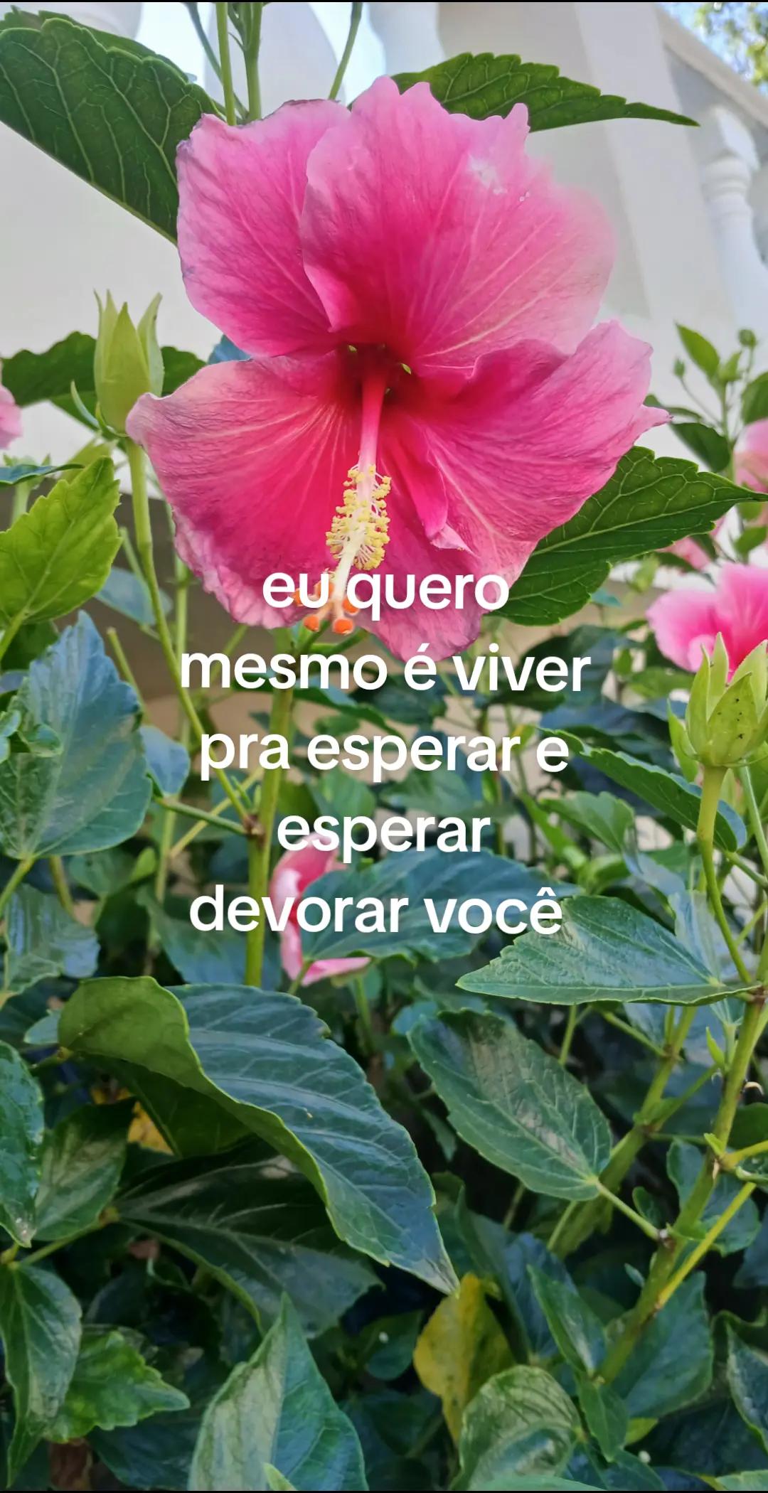 @sah⁷