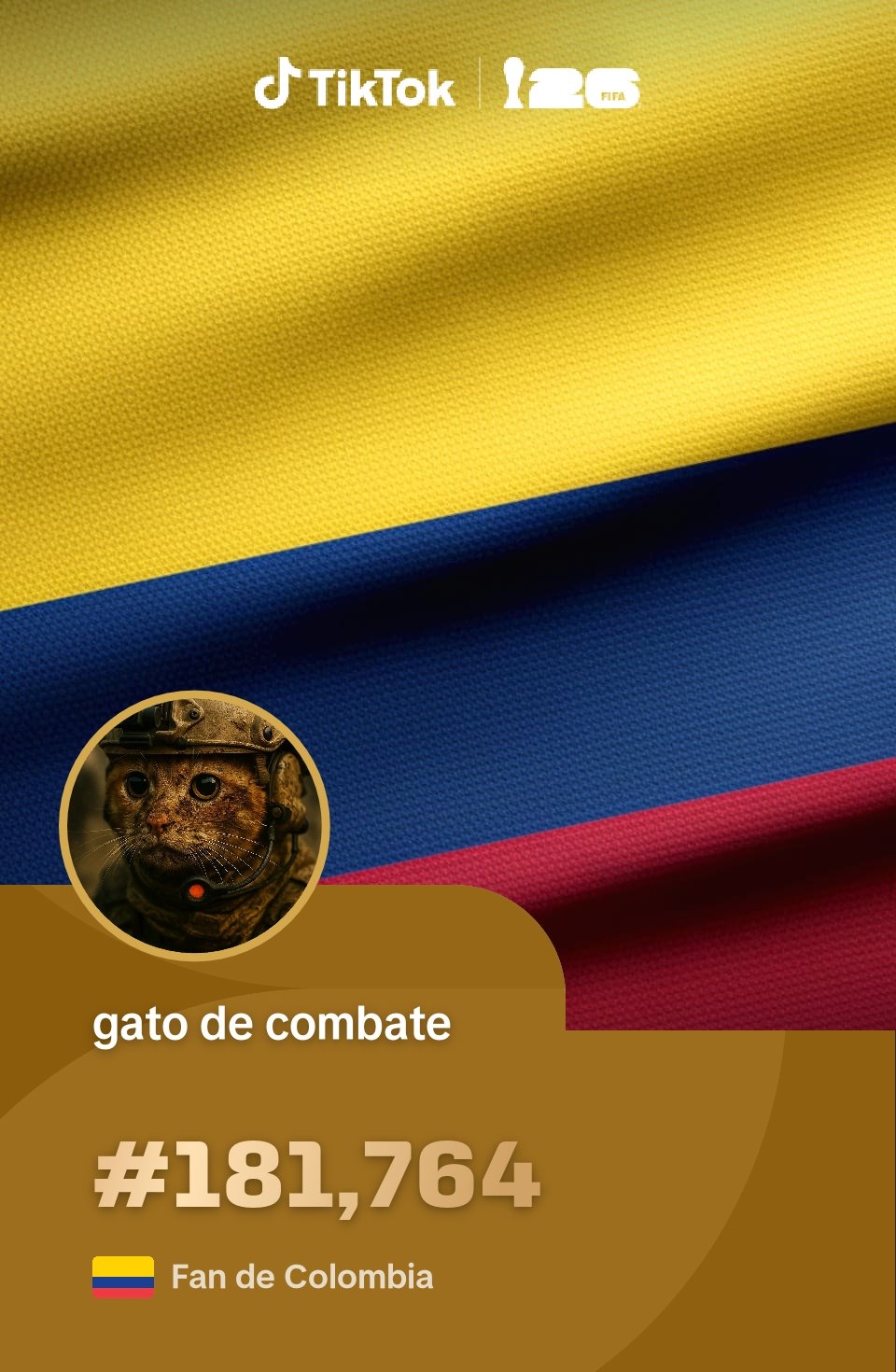 @gato de combate