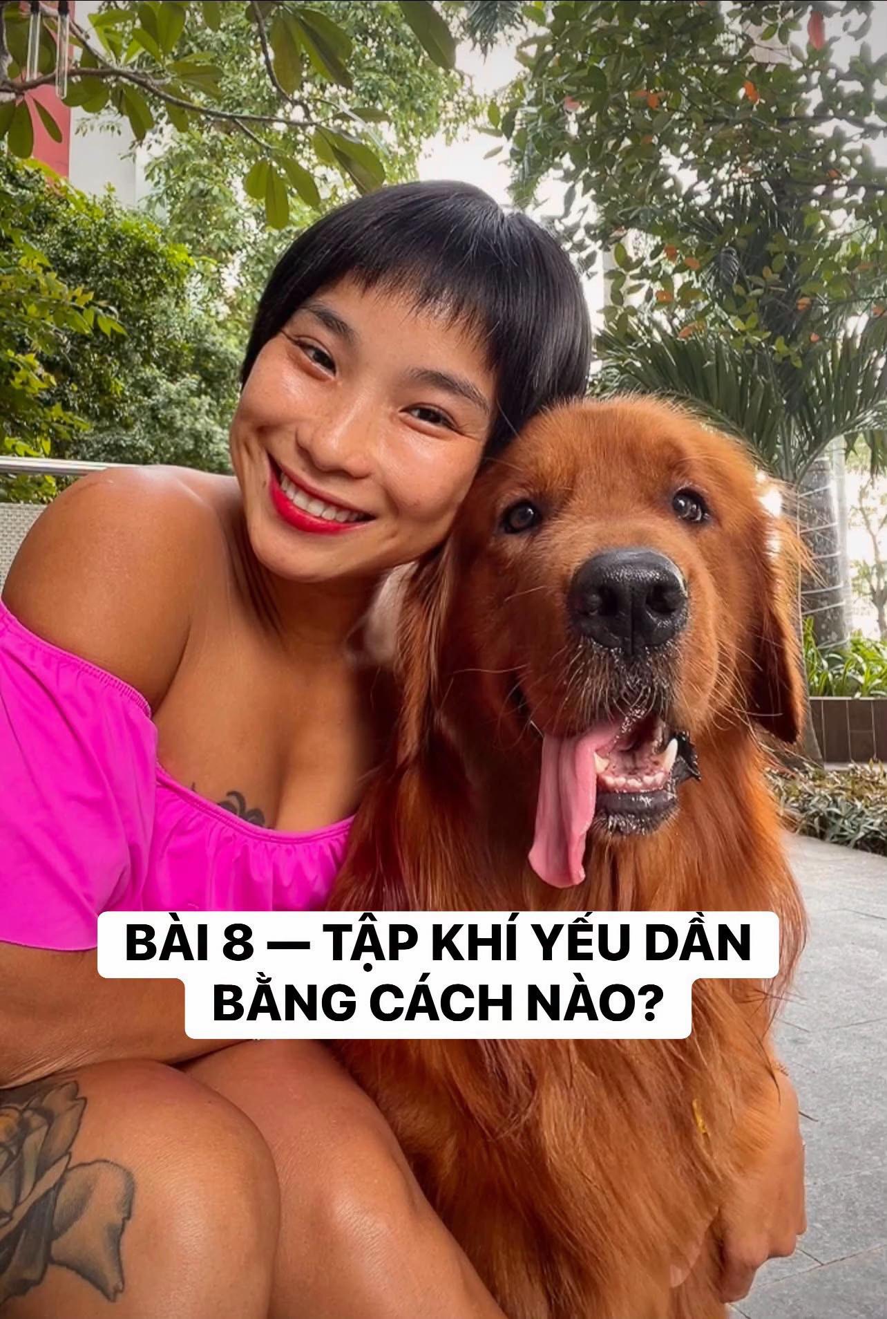 @buihoangbichtho