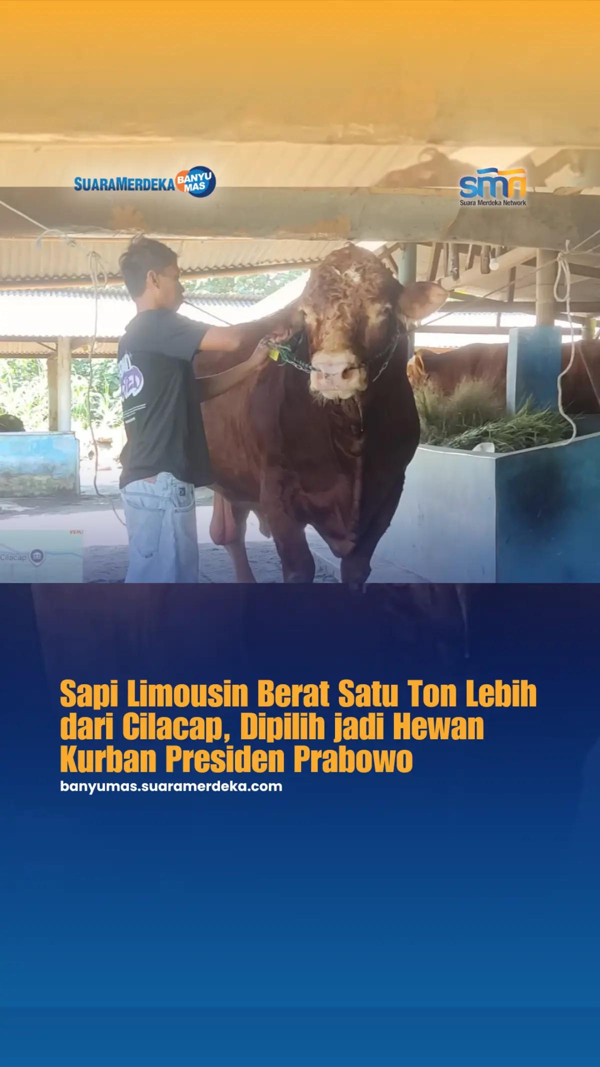 @Suara Merdeka