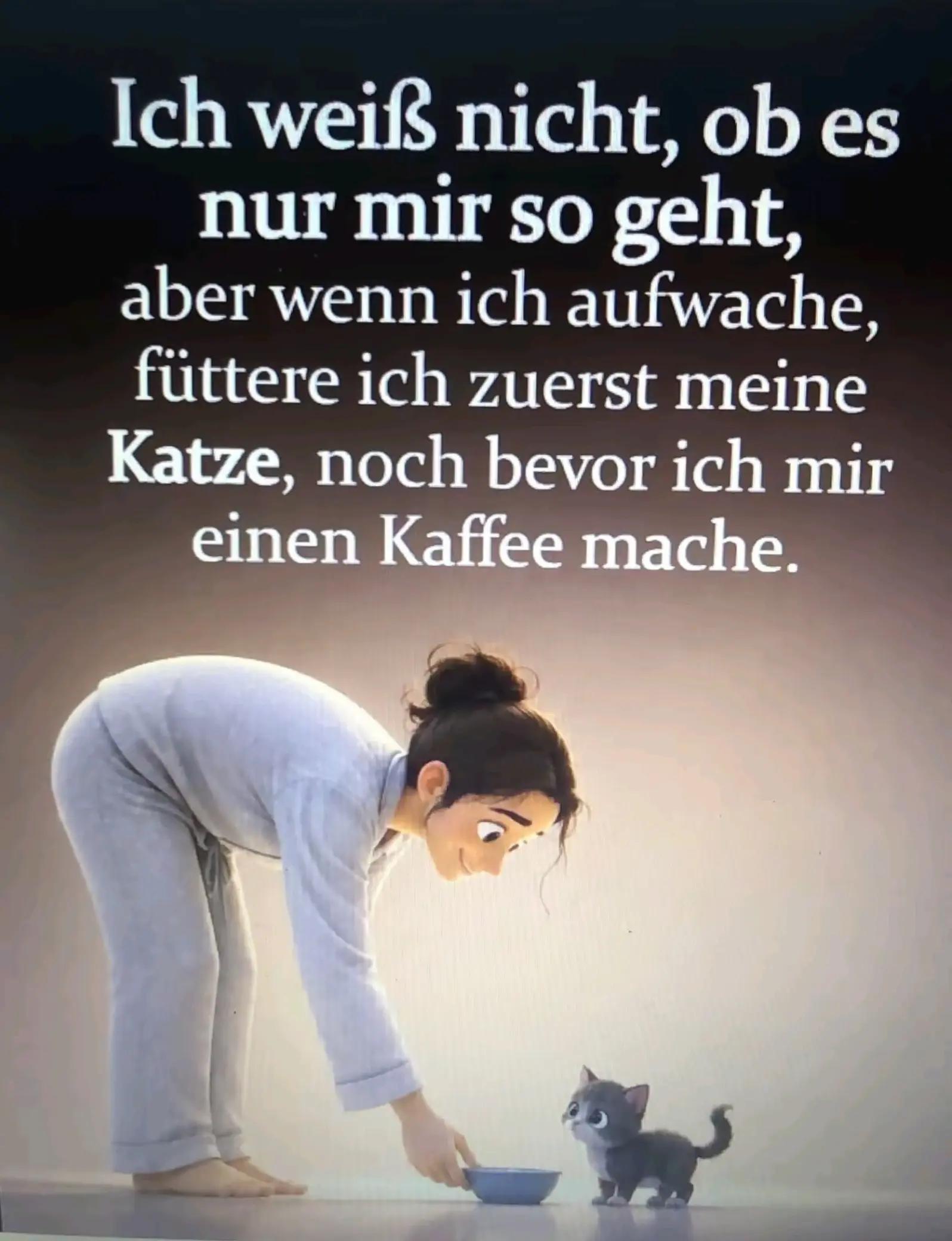 @Karin-Catmama80