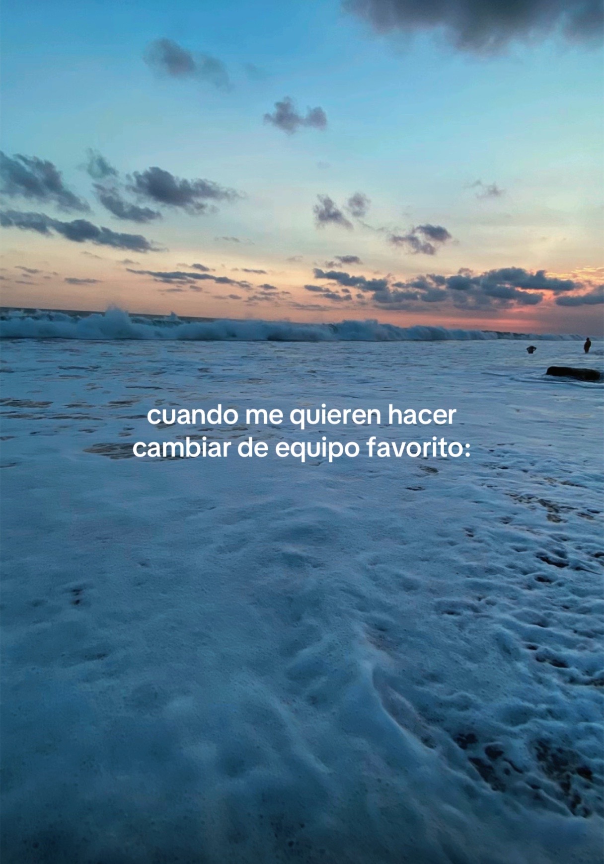 @ara🐚