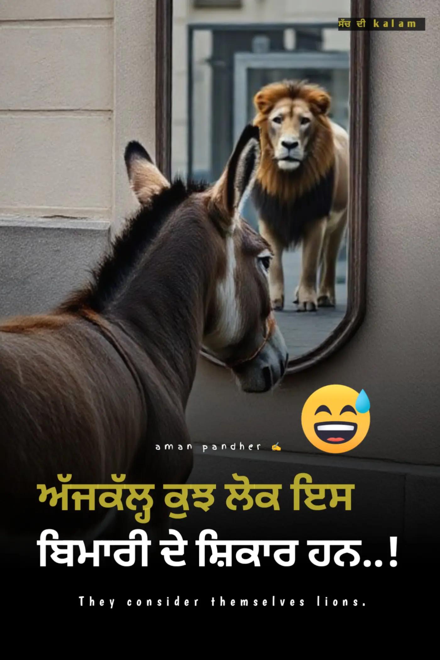 @aman pandher ✍️