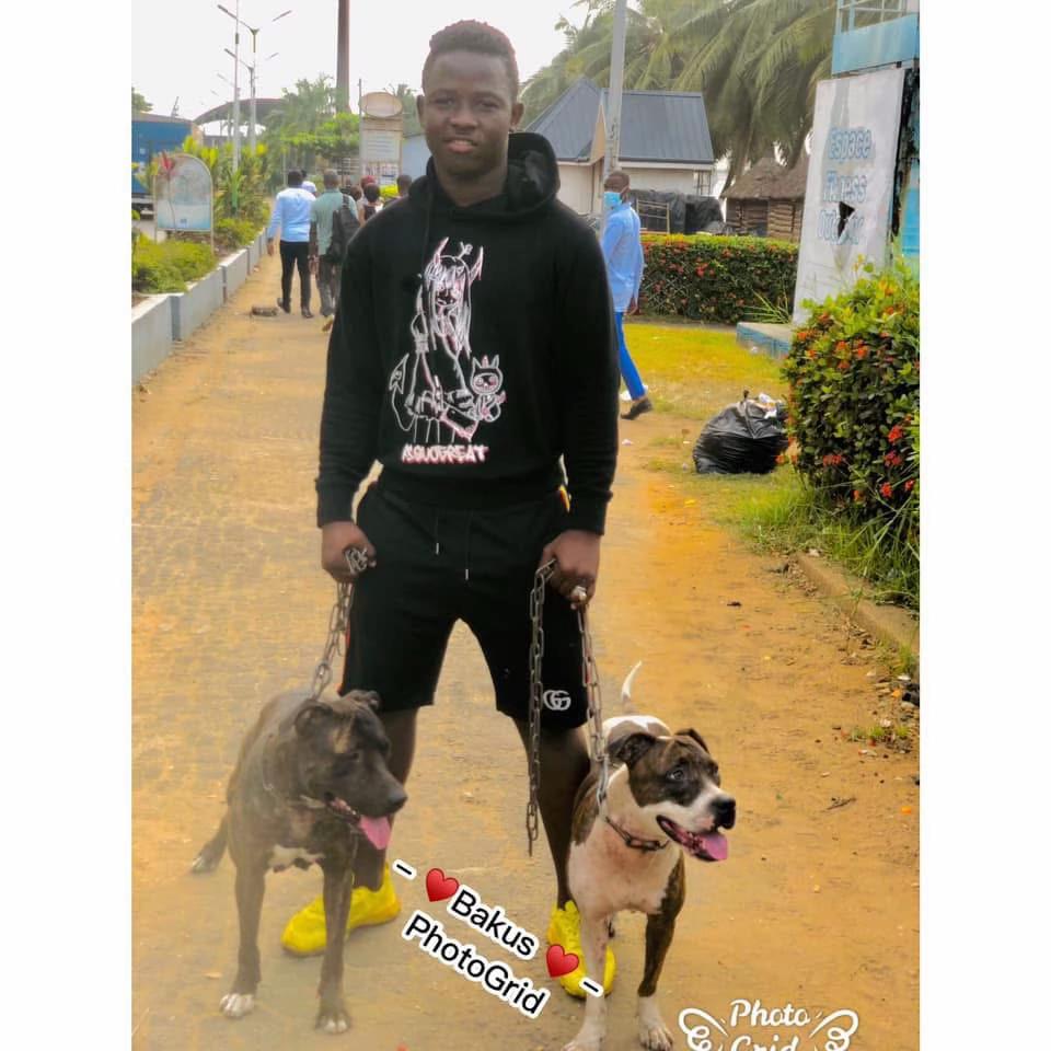 @🇨🇮BAKAYOKO MOHAMED 🇳🇬
