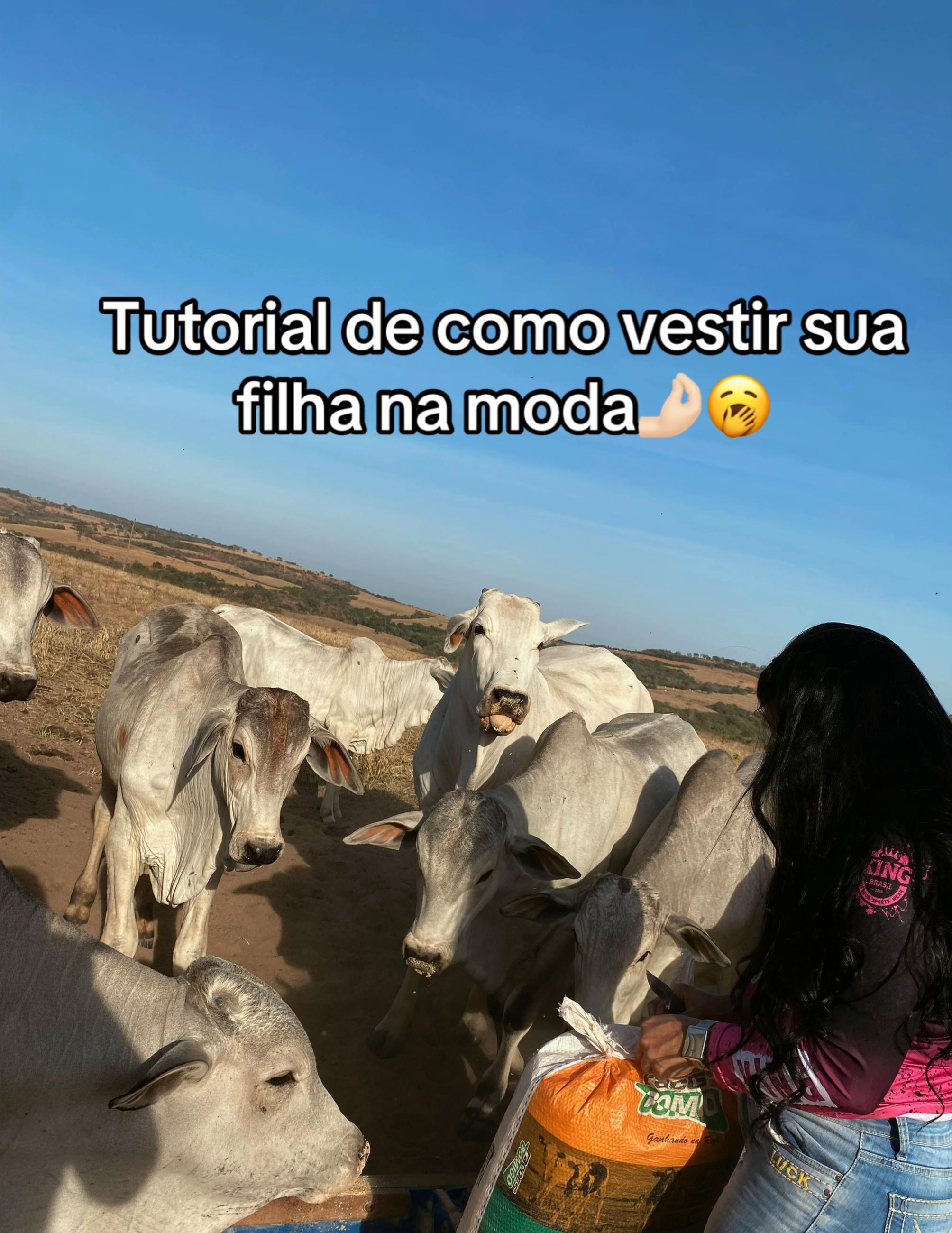 @🪶 Karla Natyely🇧🇷🇺🇸