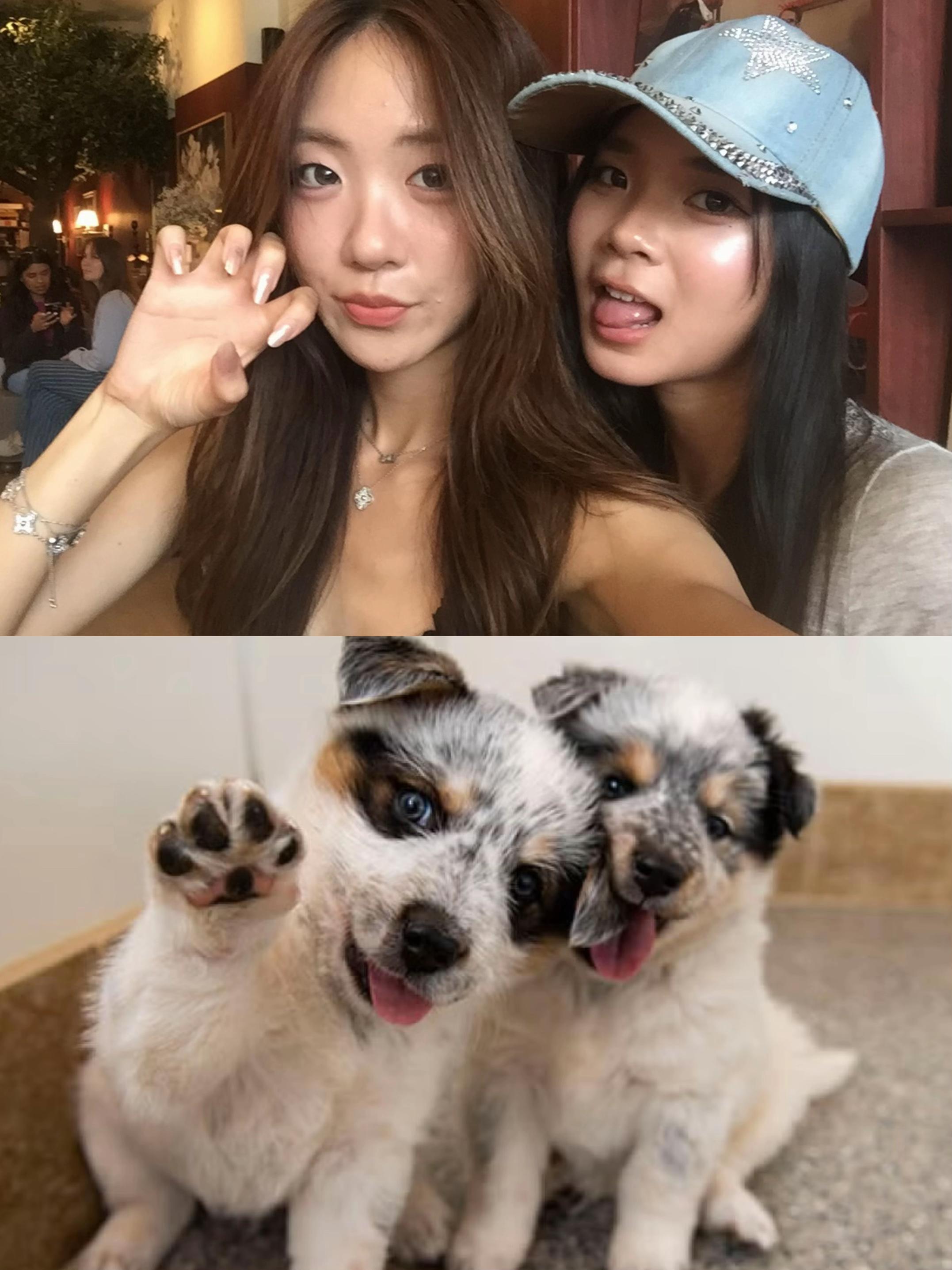 @michelle kwon 𐙚₊˚⊹ᡣ𐭩