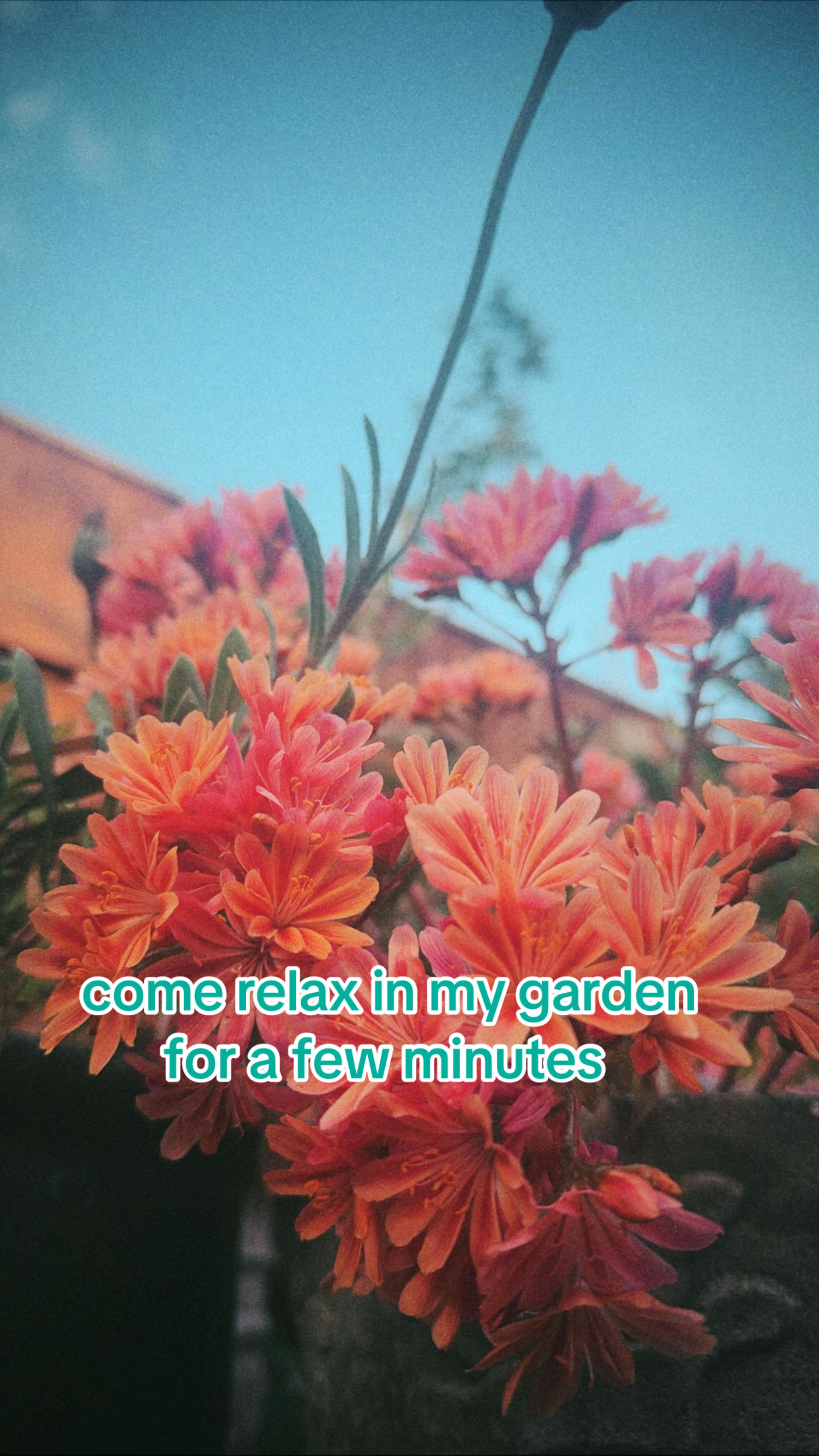 @⊬nicøandned⊬