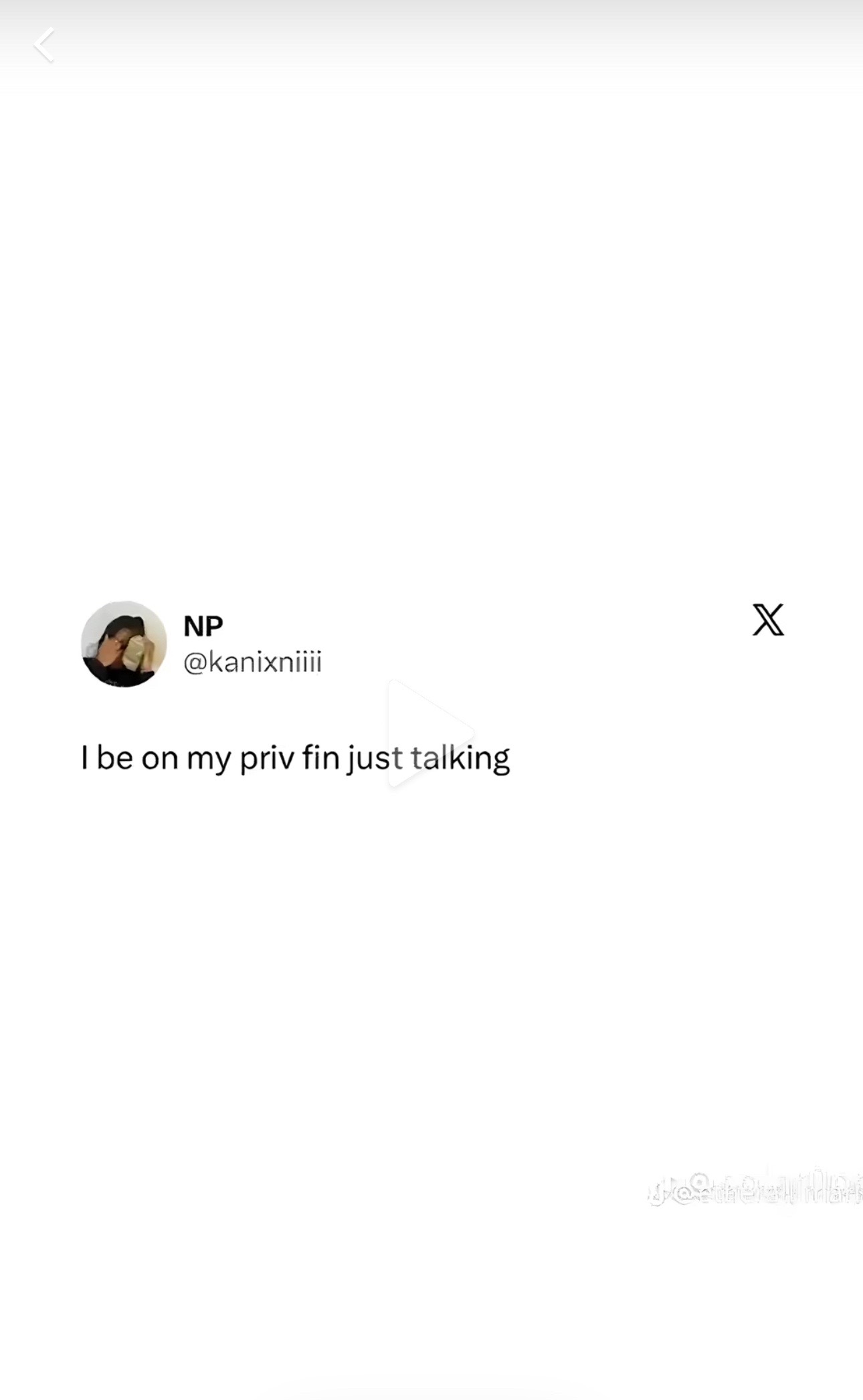 @n 🐈❣️🍨