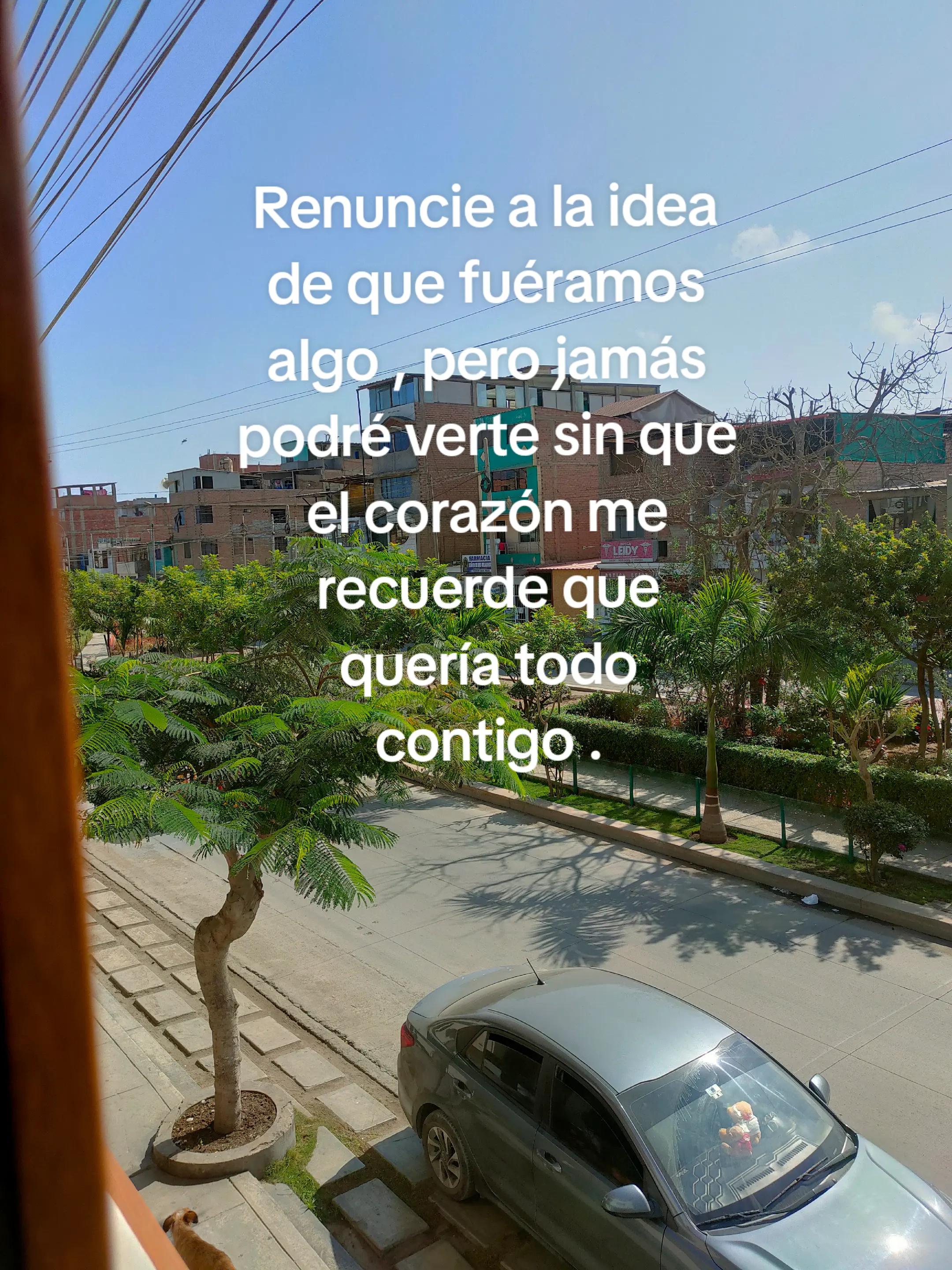 @Tauro2🦋