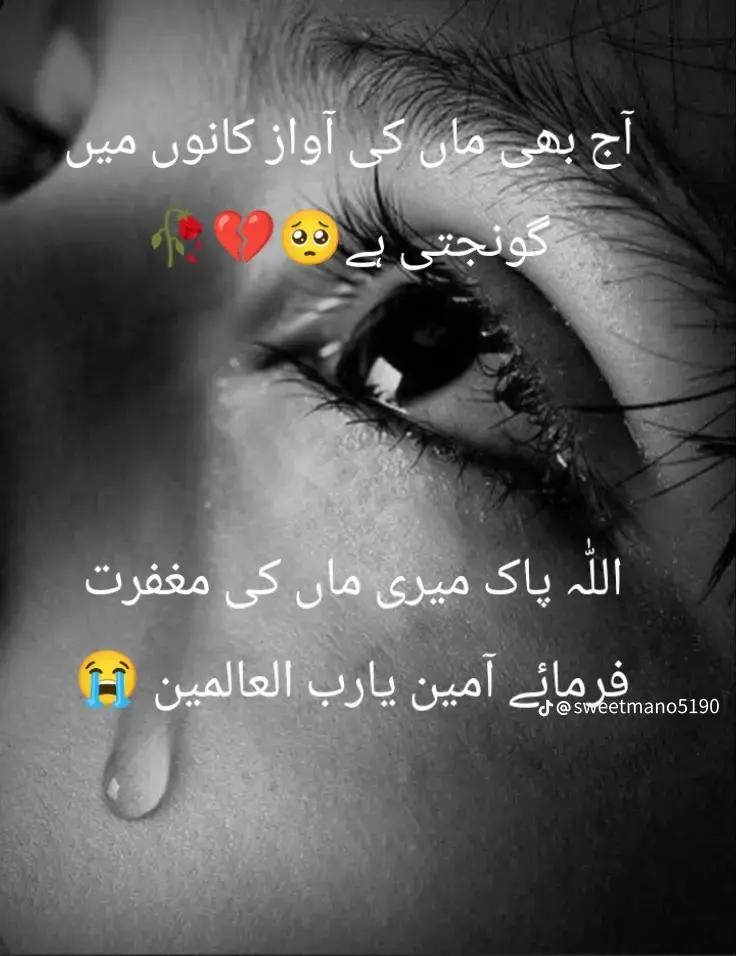 @Haroon jutt