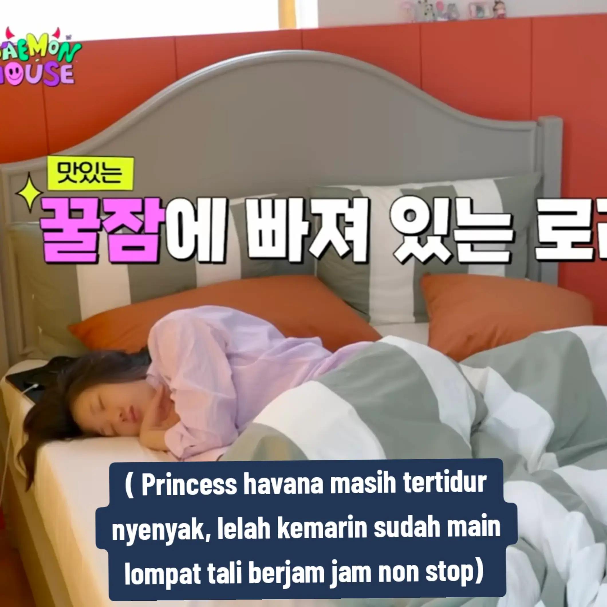 @People🦥🐰