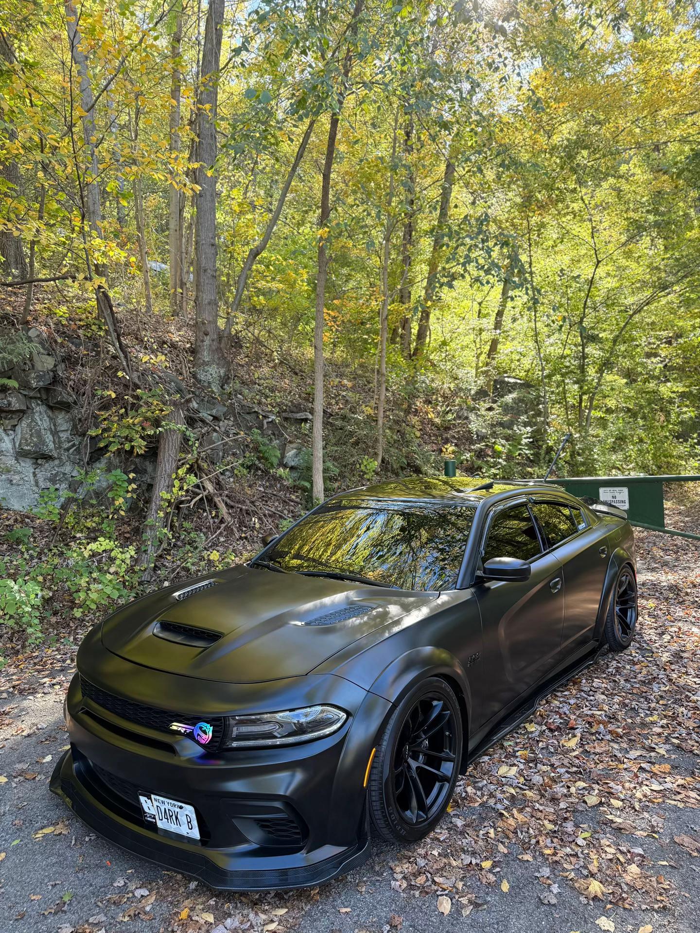 @D4RK.BEE🐝
