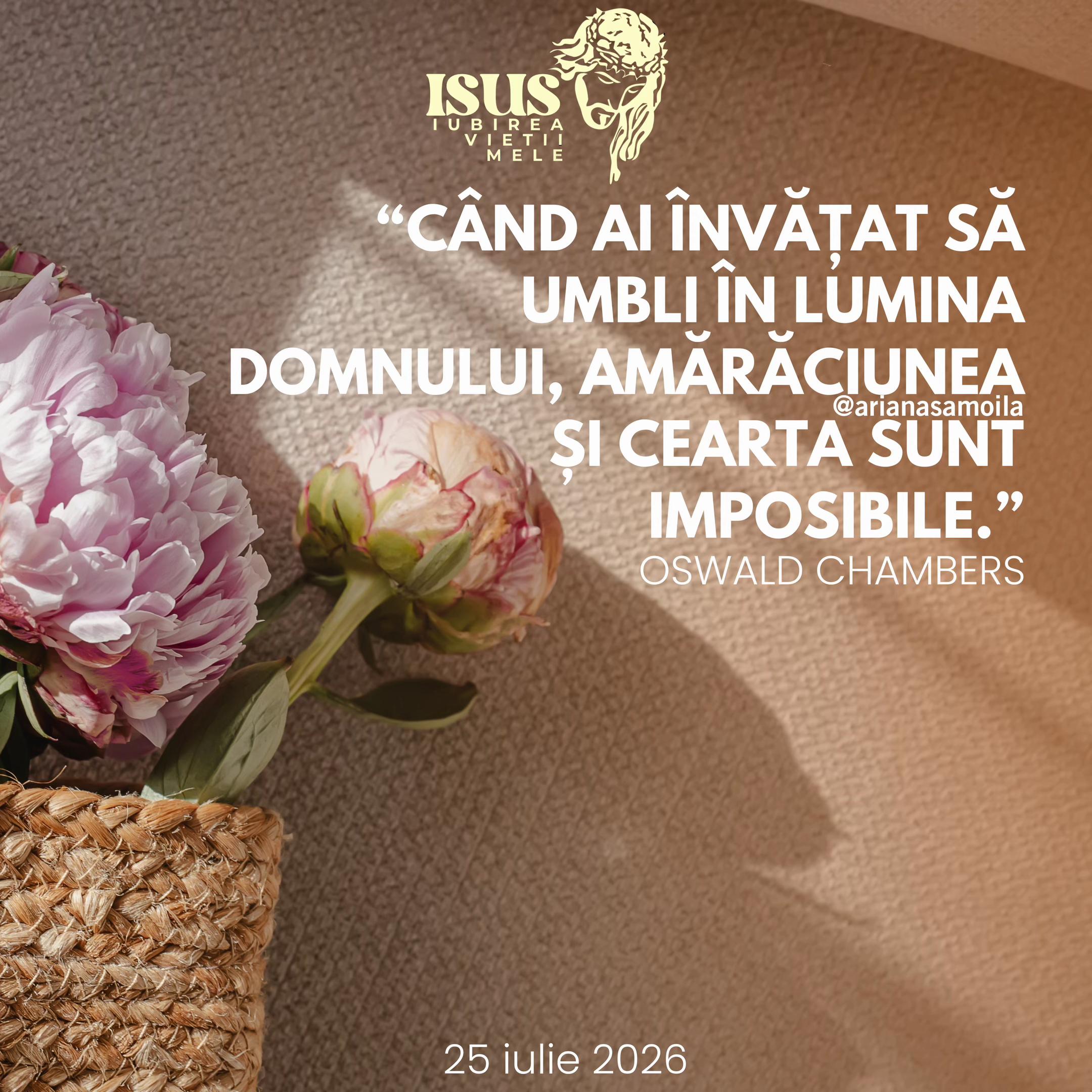 @Ariana Samoilă