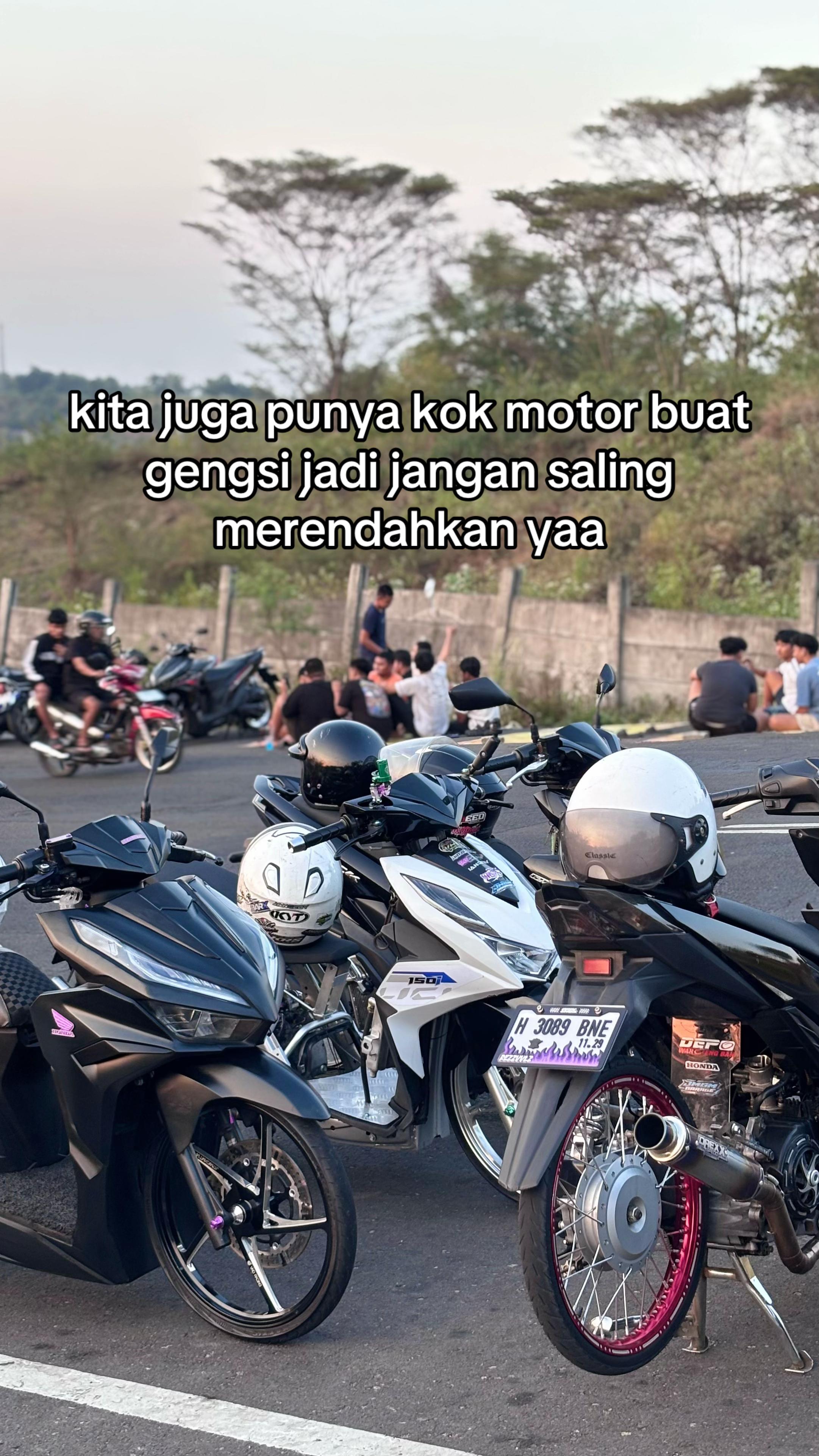 @gry.gank