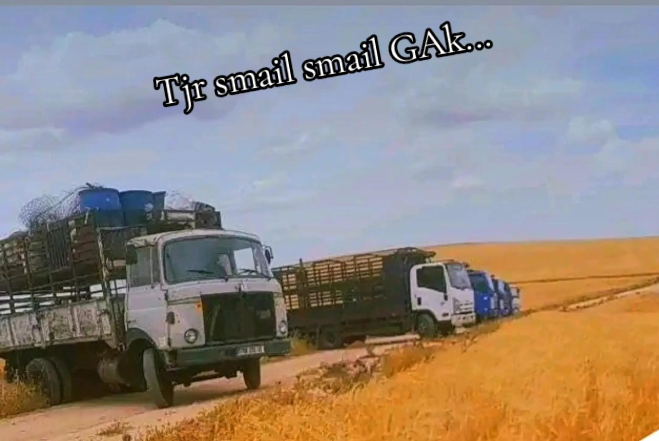 @Smail Tranji🫵😎