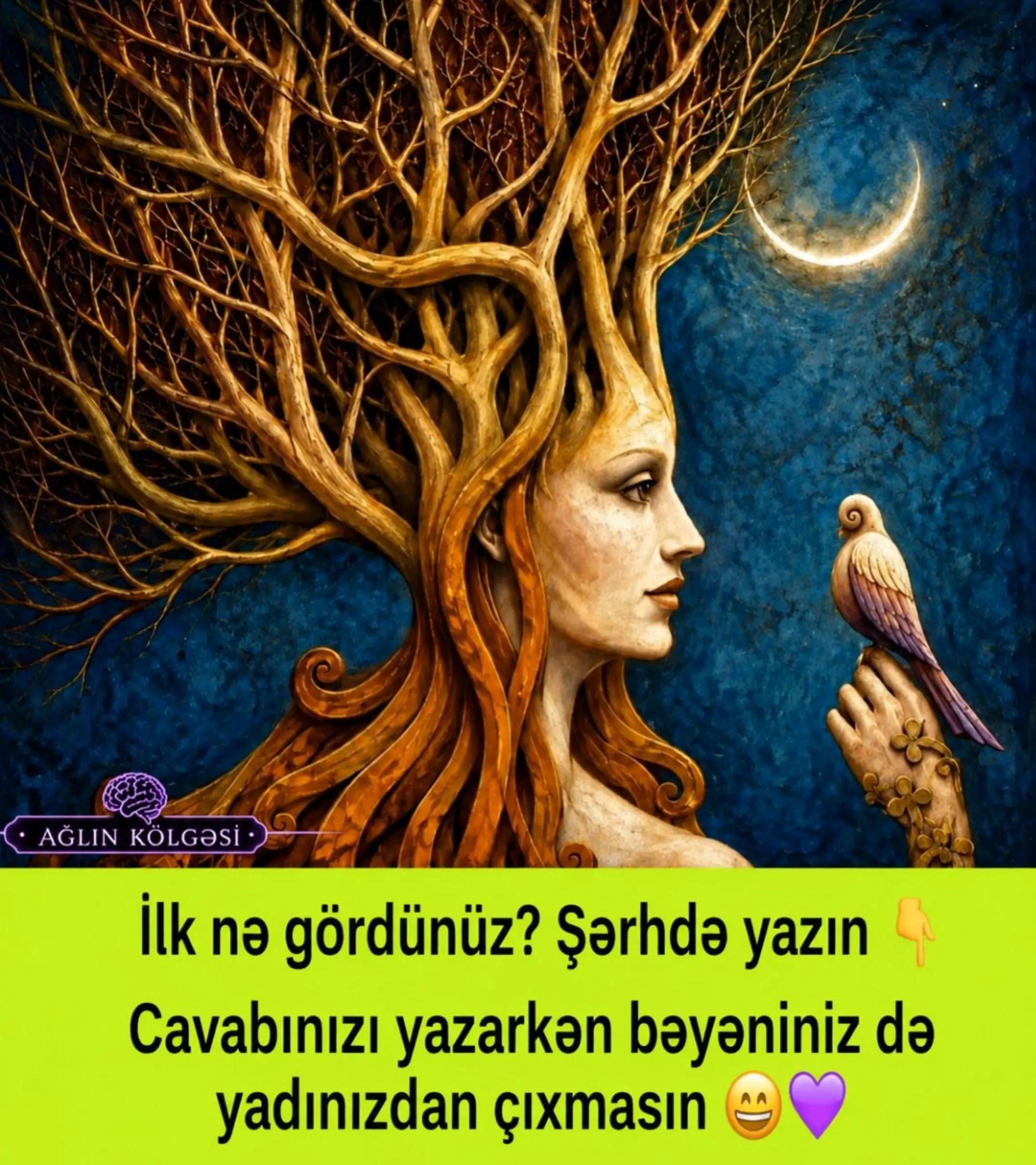 @Ağlın K&ouml;lgəsi