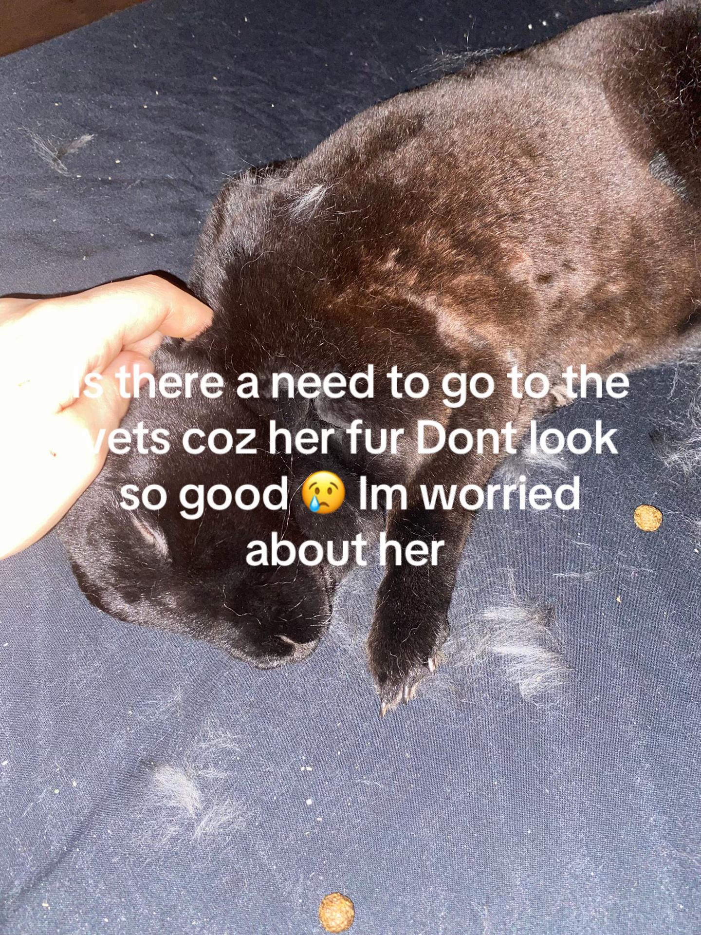 @Libzta 091109