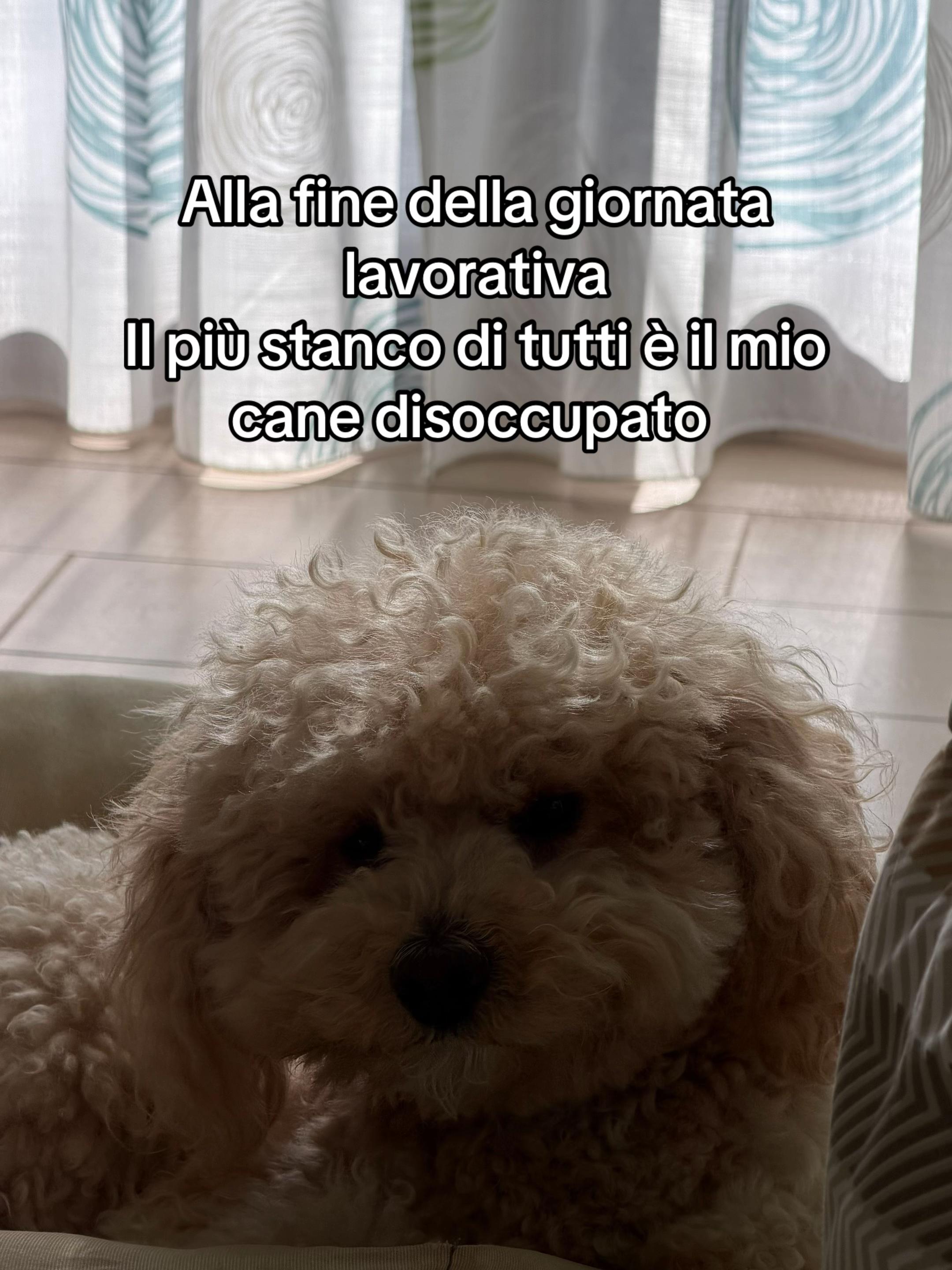 @Ludovica🫀🍕🍣
