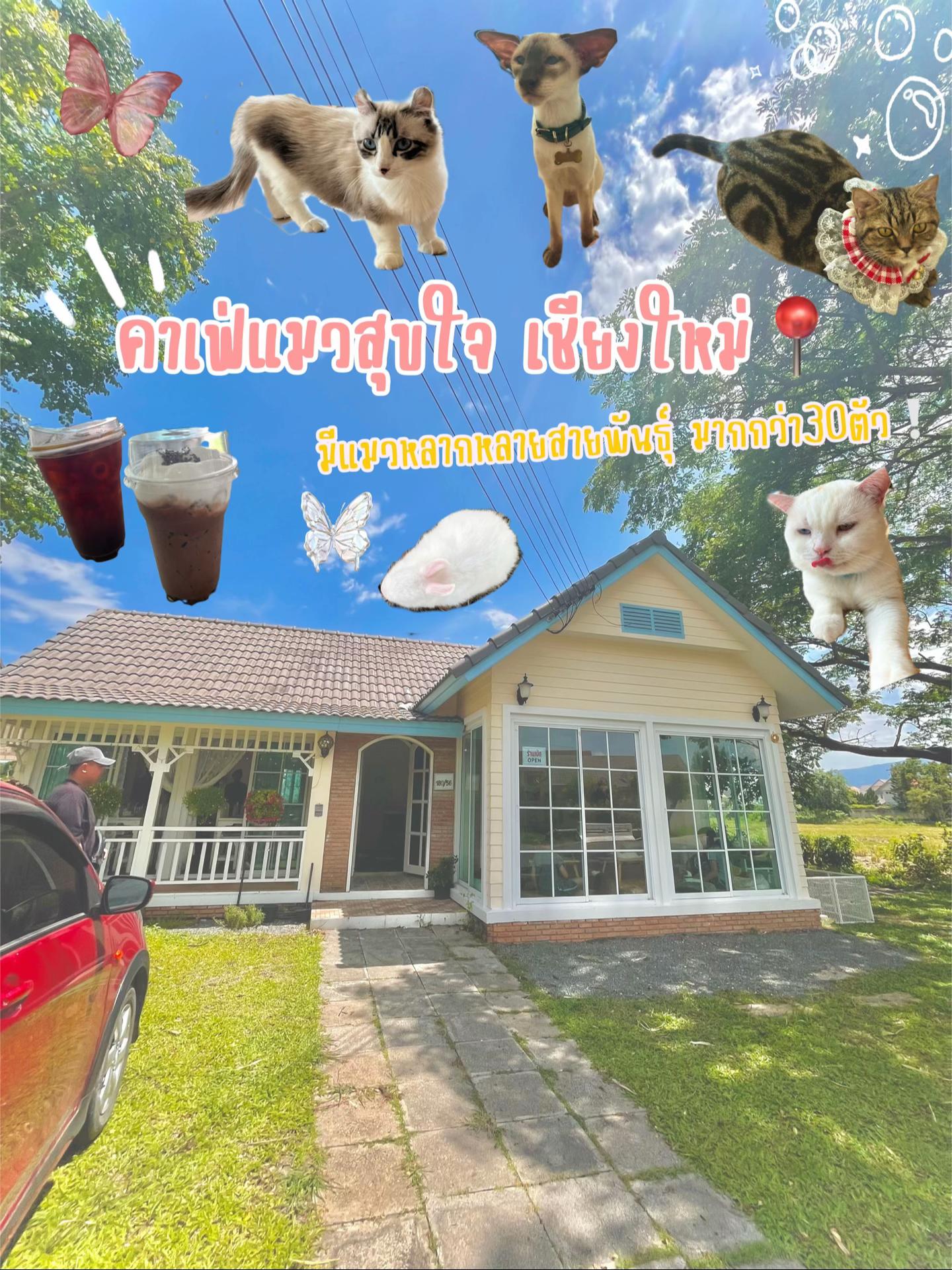 @ไบรท์ เบบี้