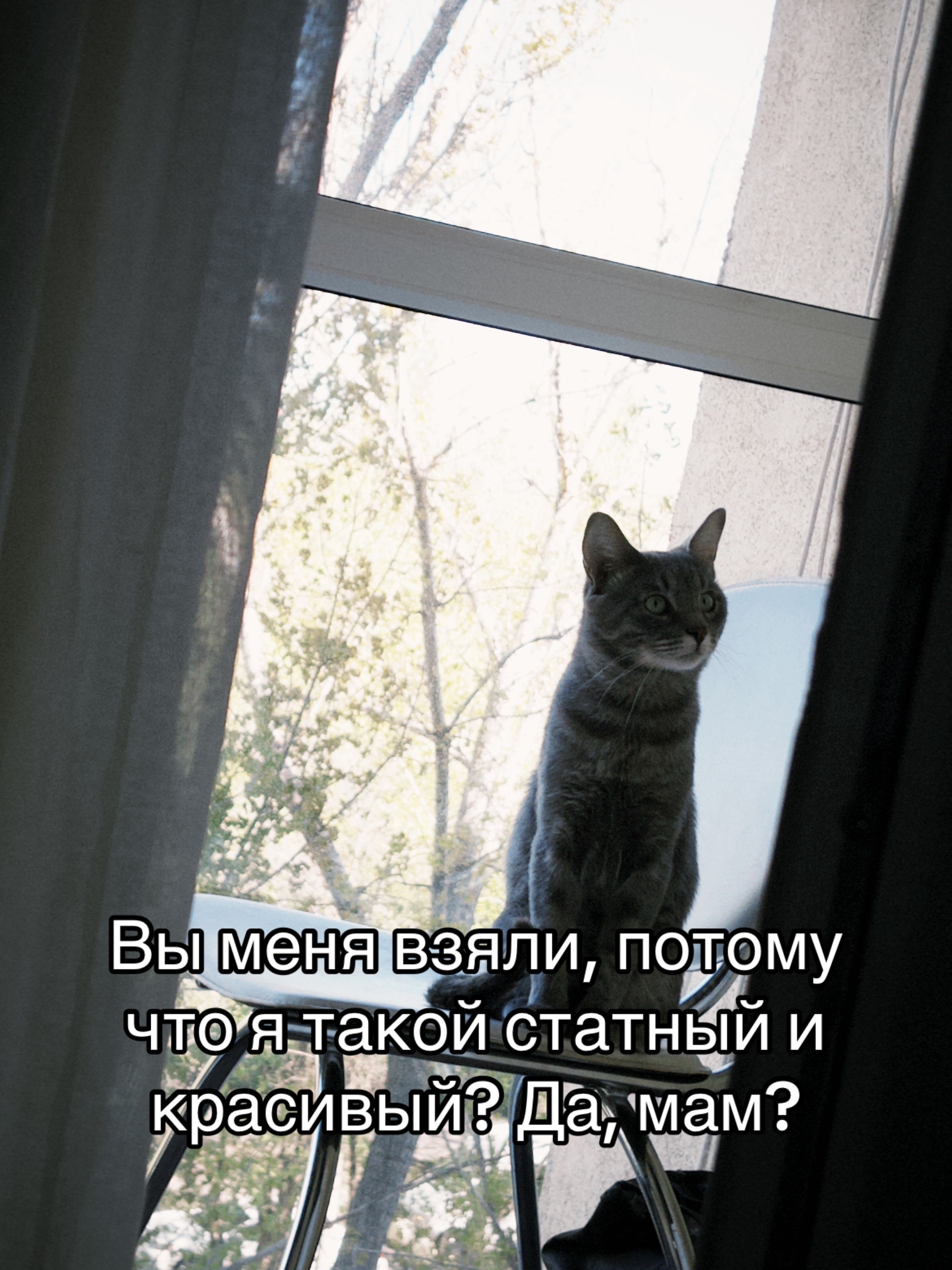 @Чиби