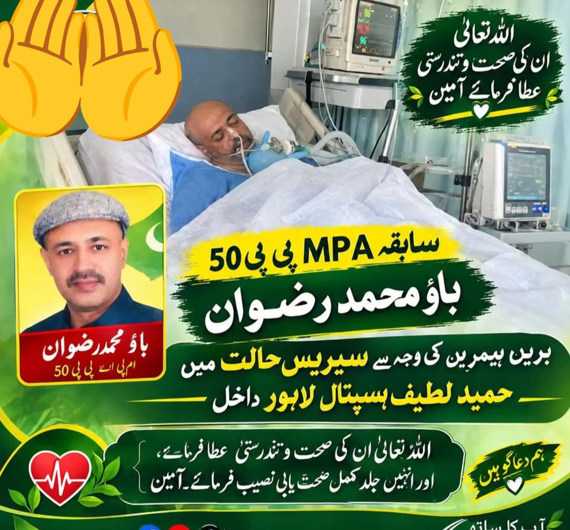 @حمزہ حنیف میٔو(Murshad )