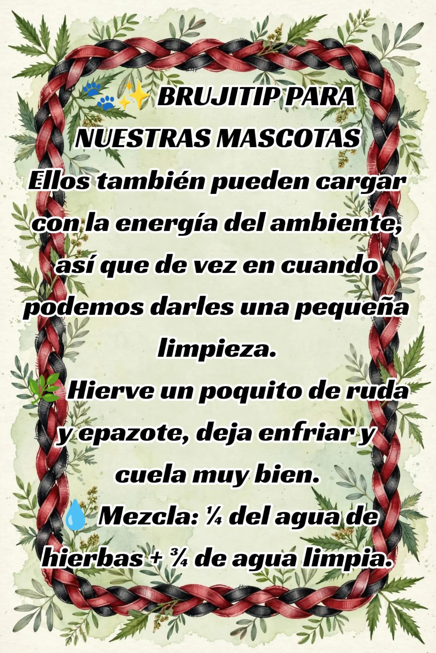 @Aurora Mística 🧙🔥