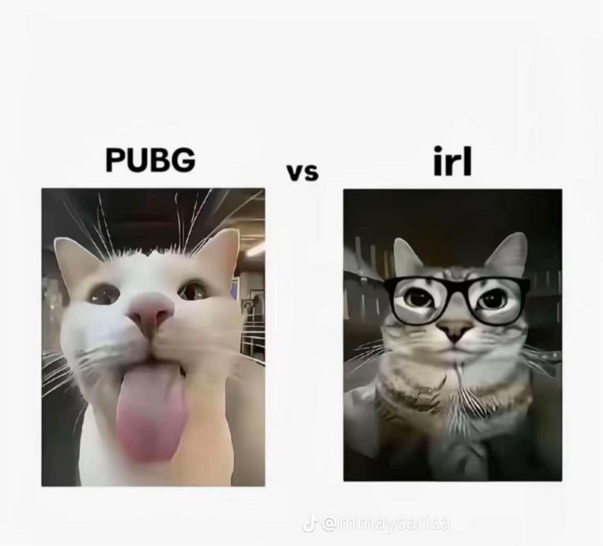 @🐈⬛ᴛᴏɴ