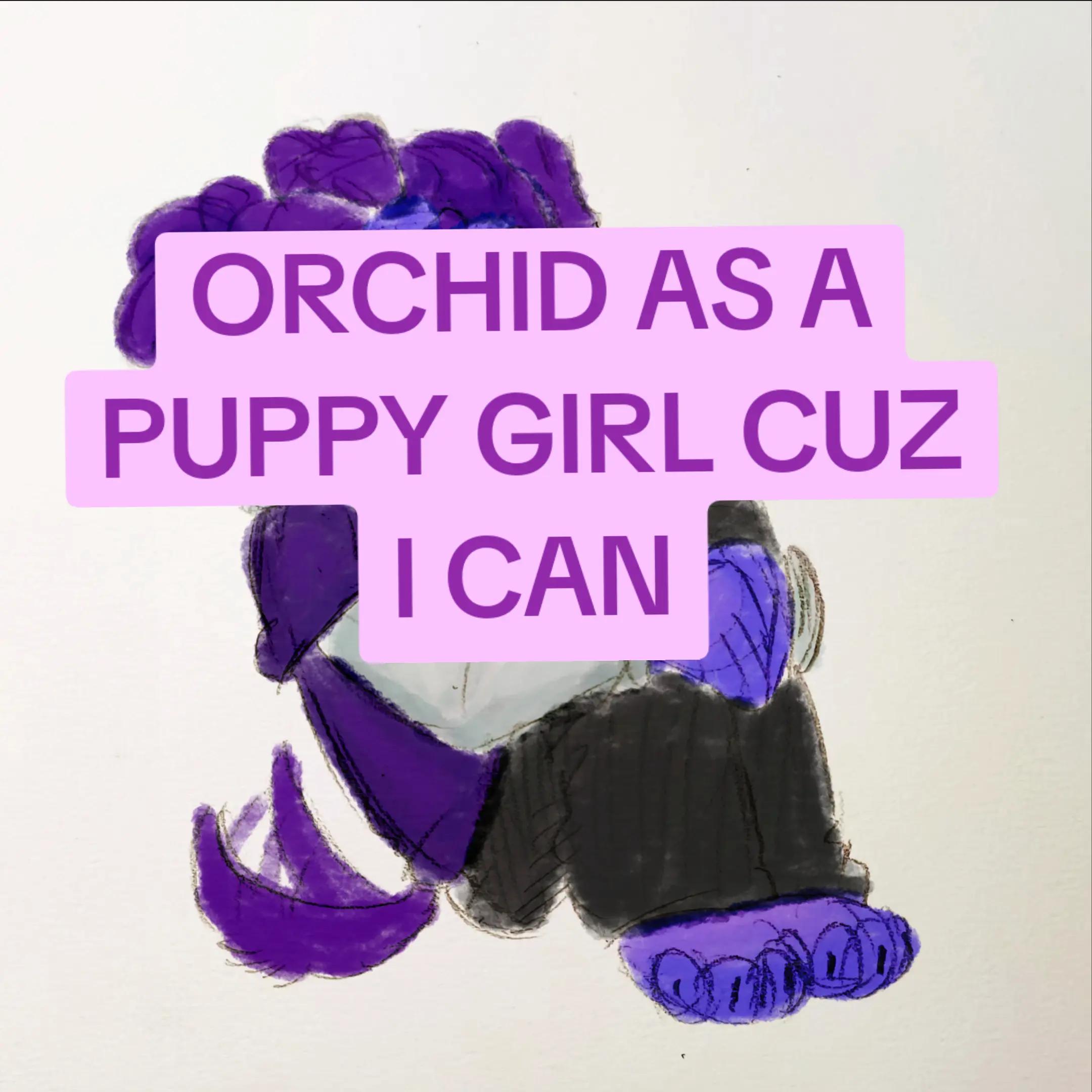 @๐๐ฉ๐ท๐ฐ๐น๐ฟ๐บ๐๐๐๐๐๐ฉ