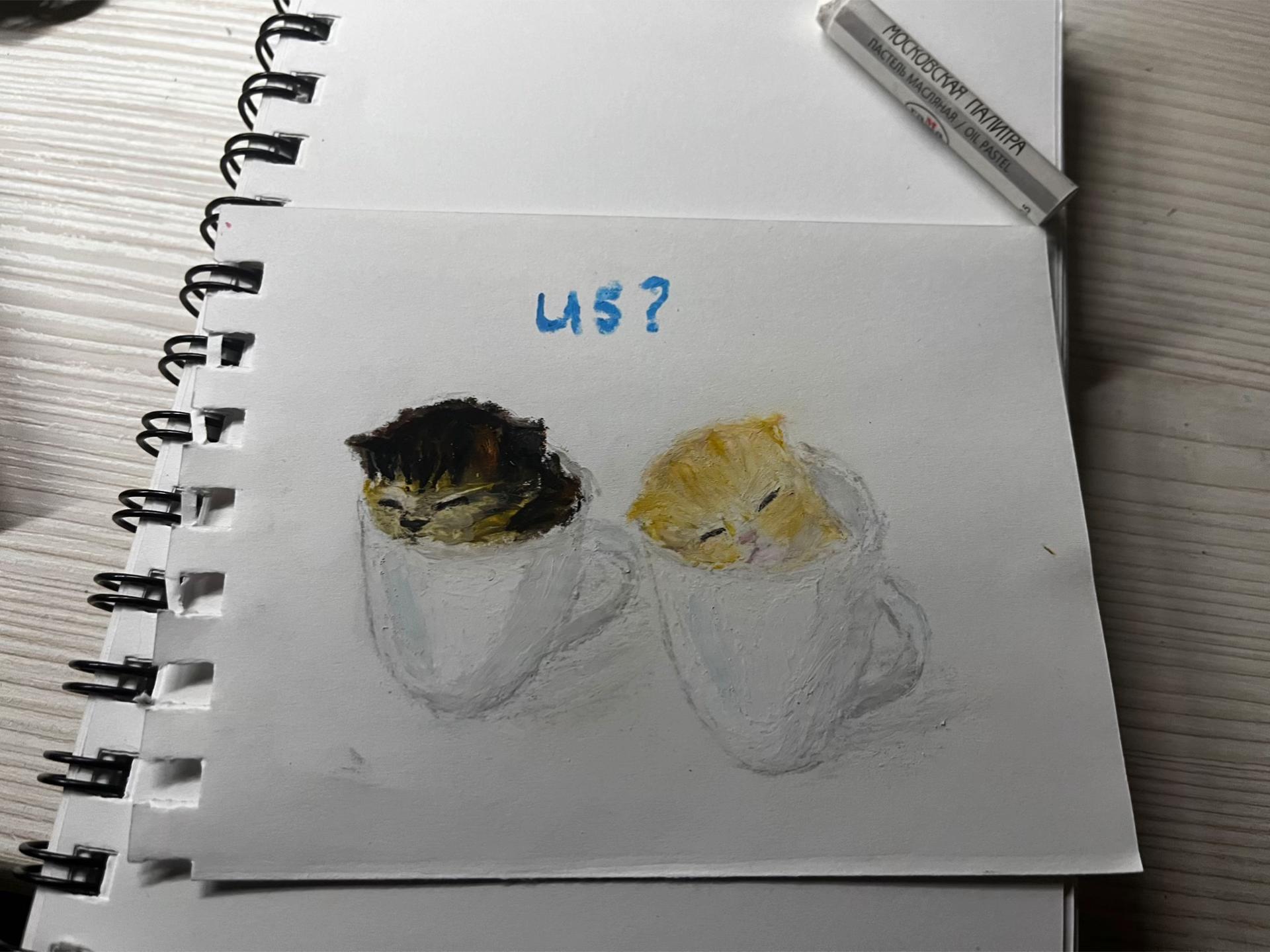 @mellifluous_meowing
