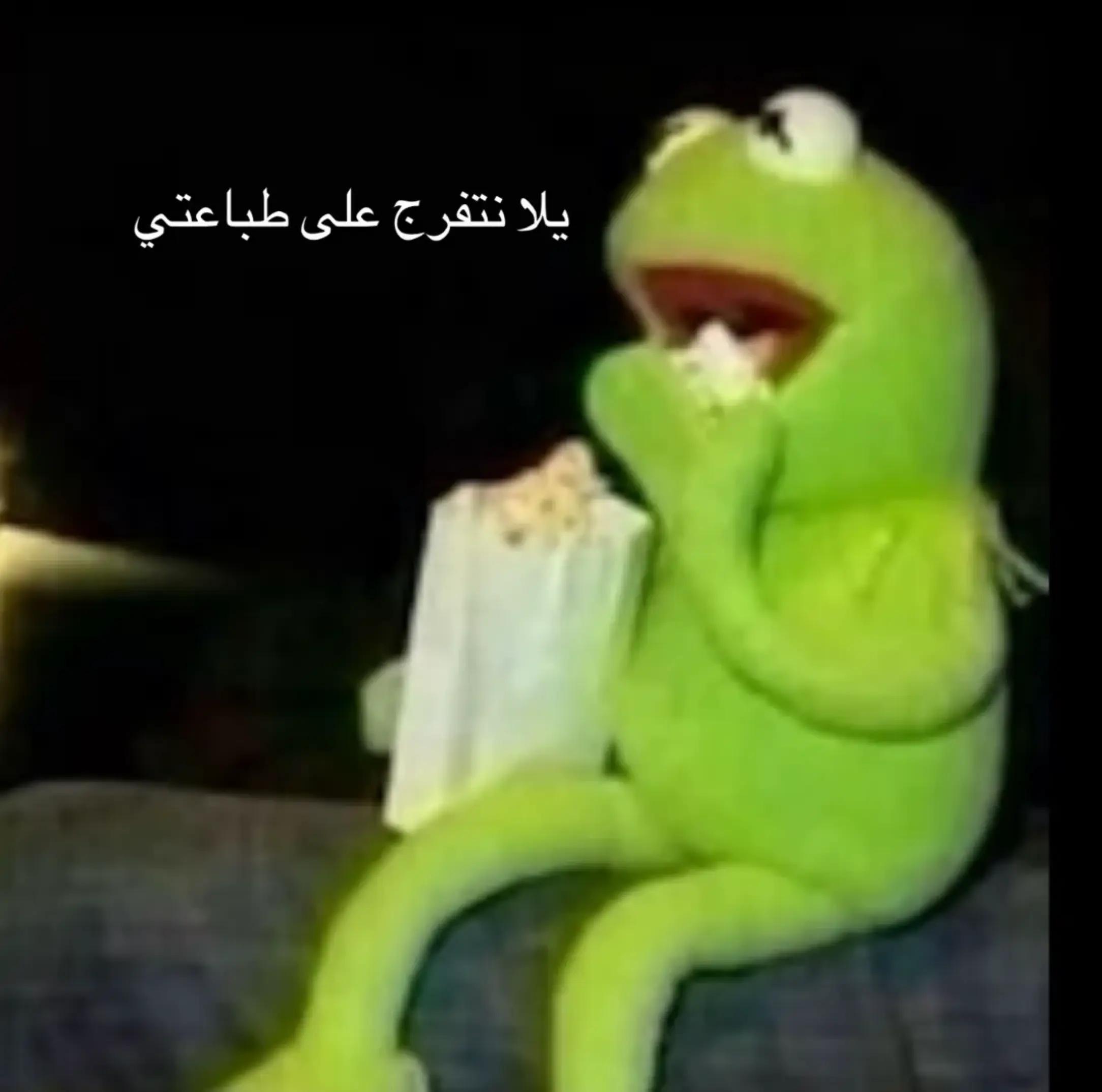 @تنين مجنوون💬