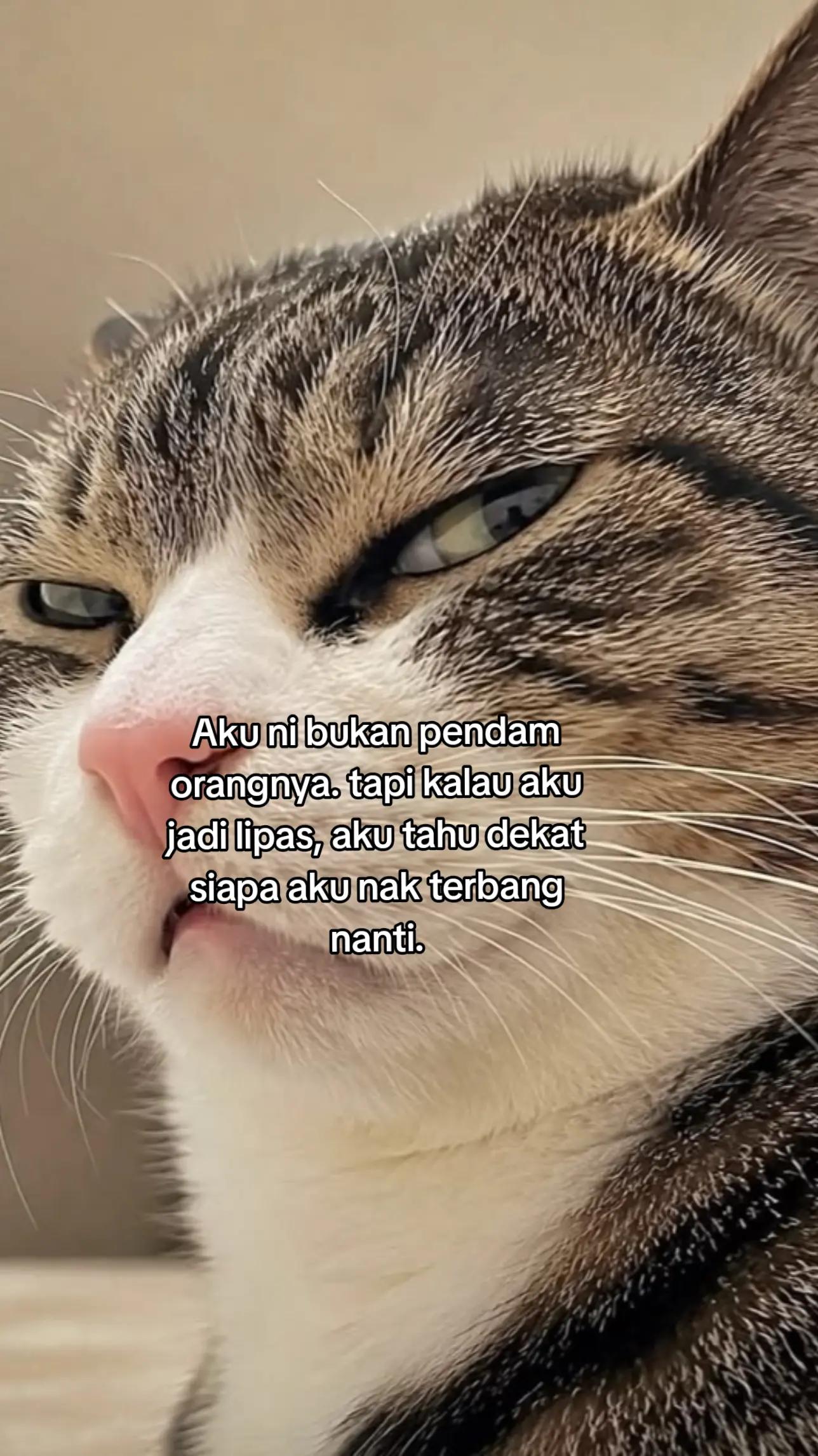 @M A N