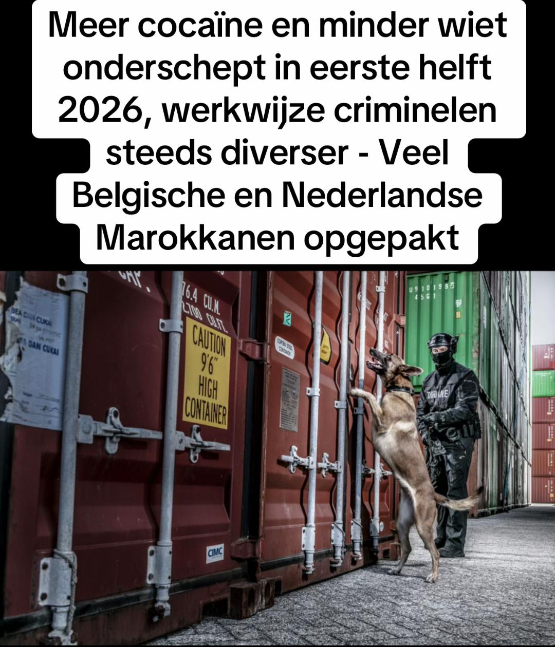 @mocrofootage