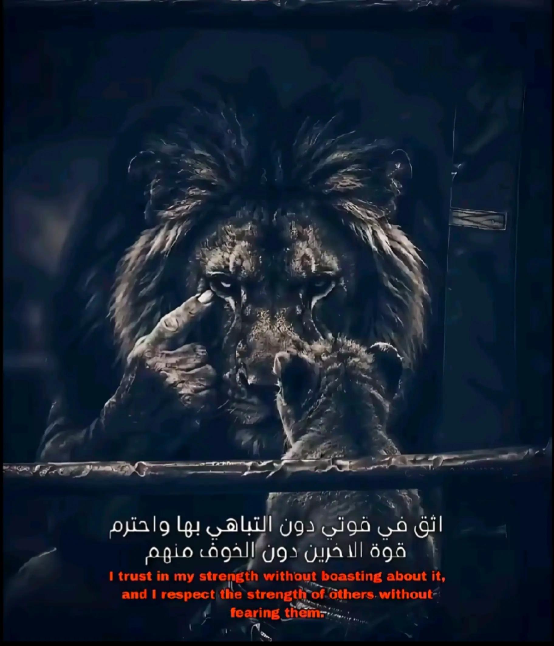 @🐺