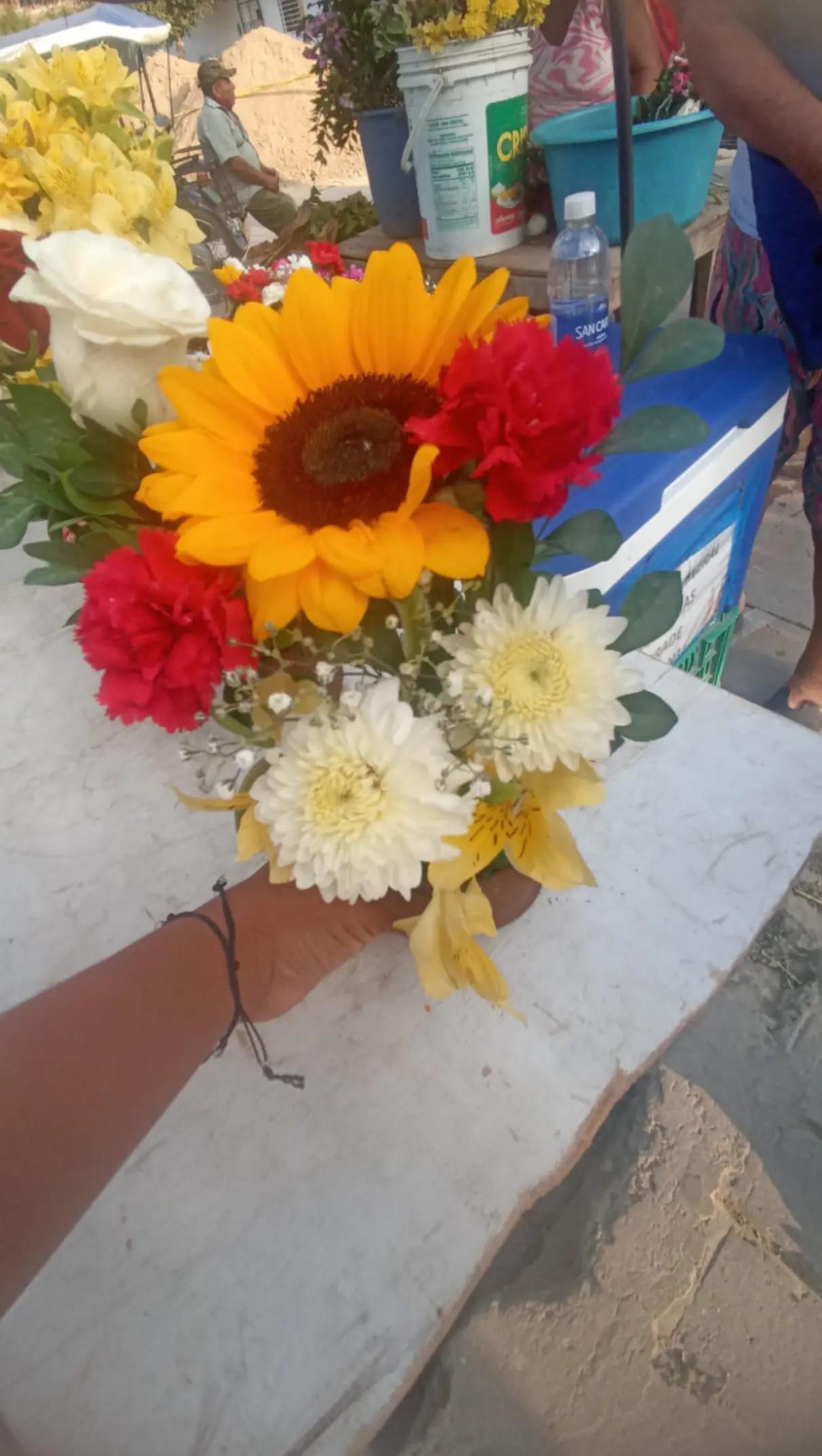 @LA Menor Navarro