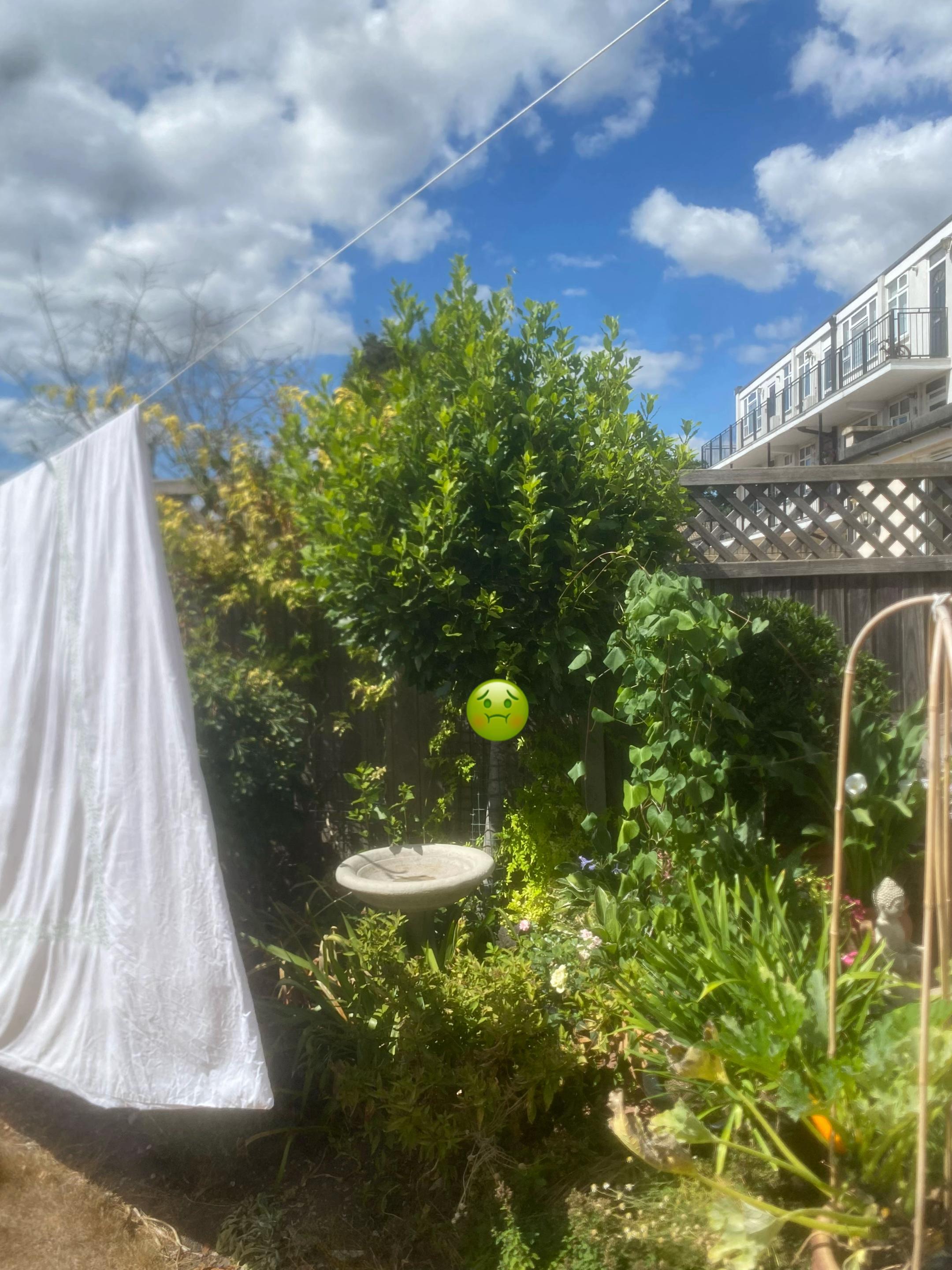 @carterslandscapes
