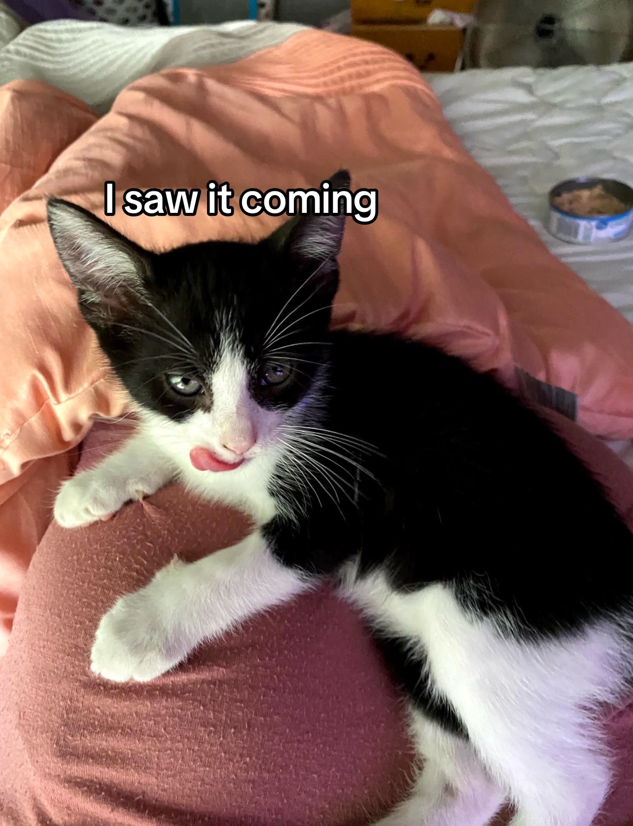 @Mꨄ︎