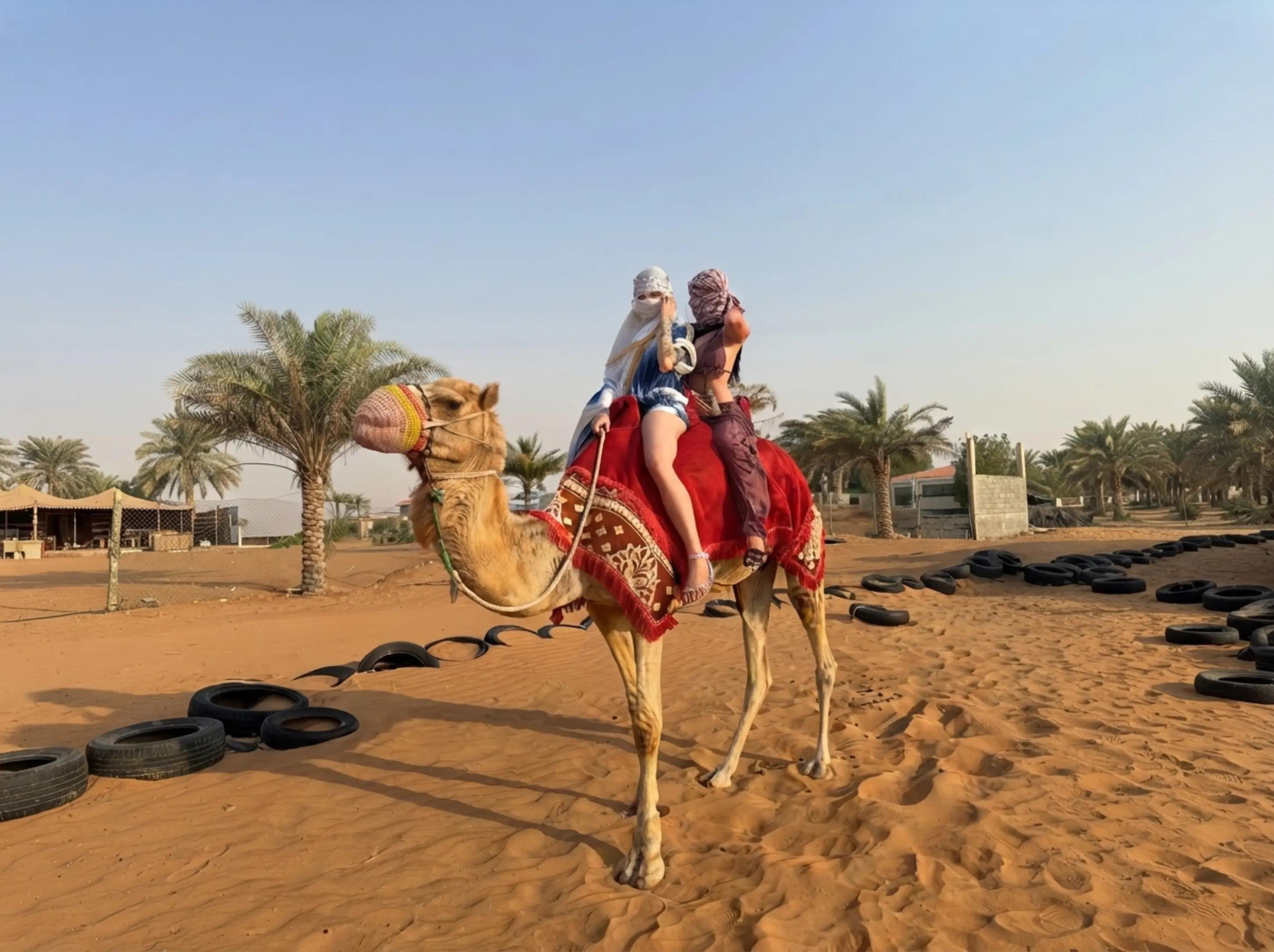 @DESERT SAFARI DUBAI