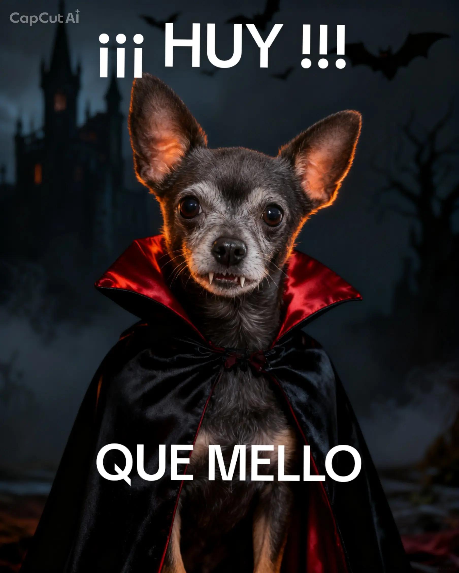 @DonMele