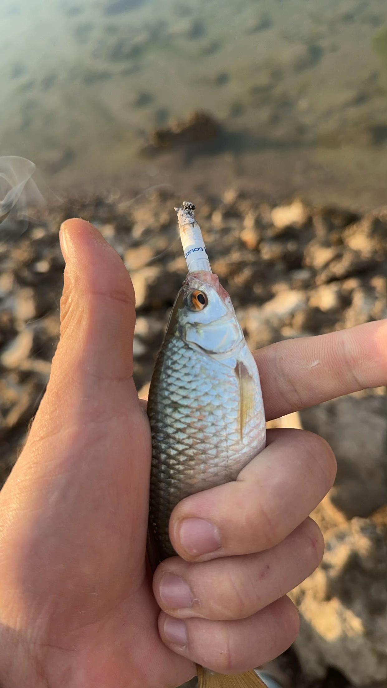 @Hunting and Fishing