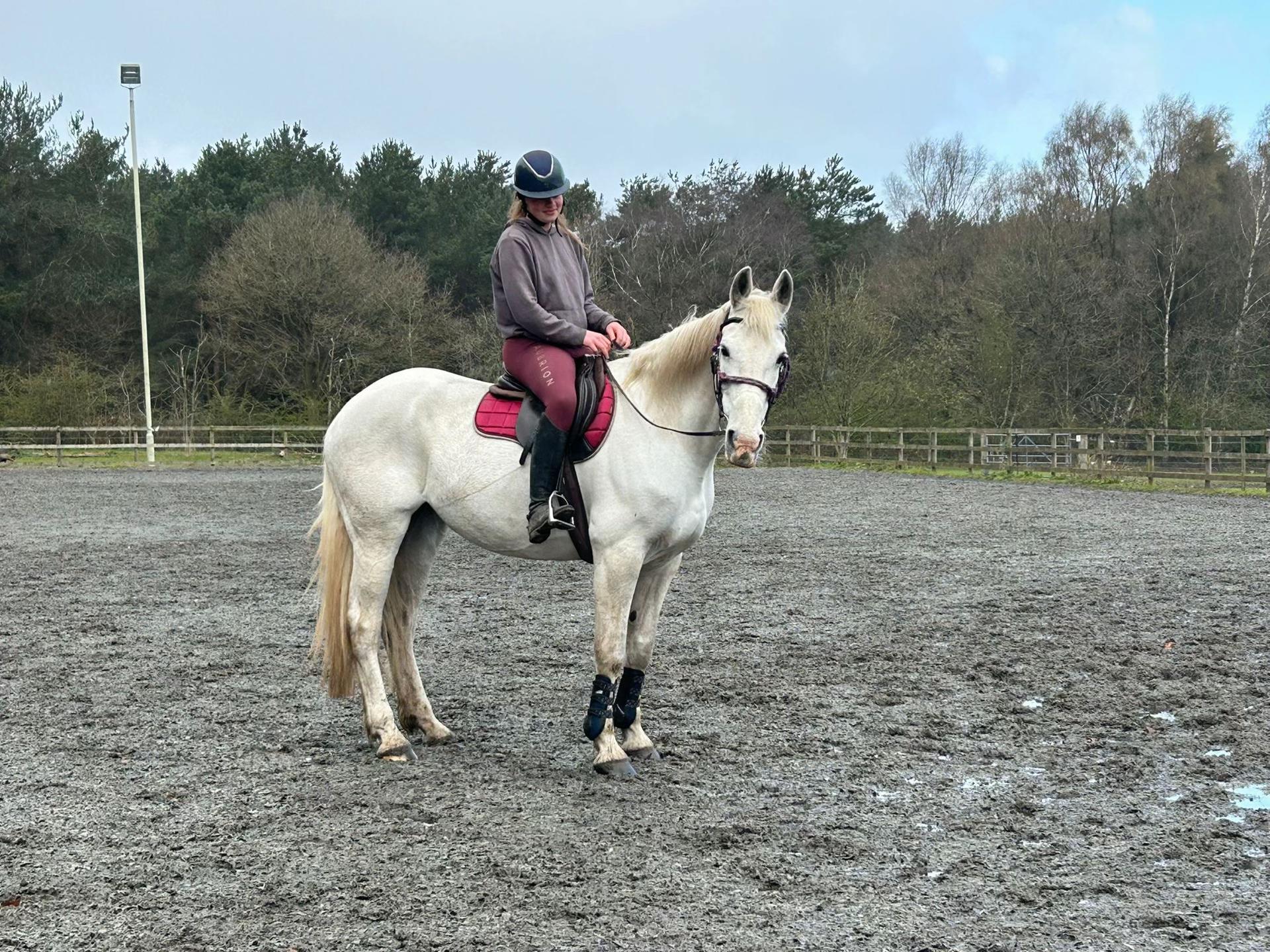 @equinectar