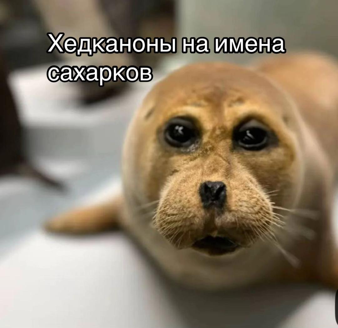 @Сырвырув