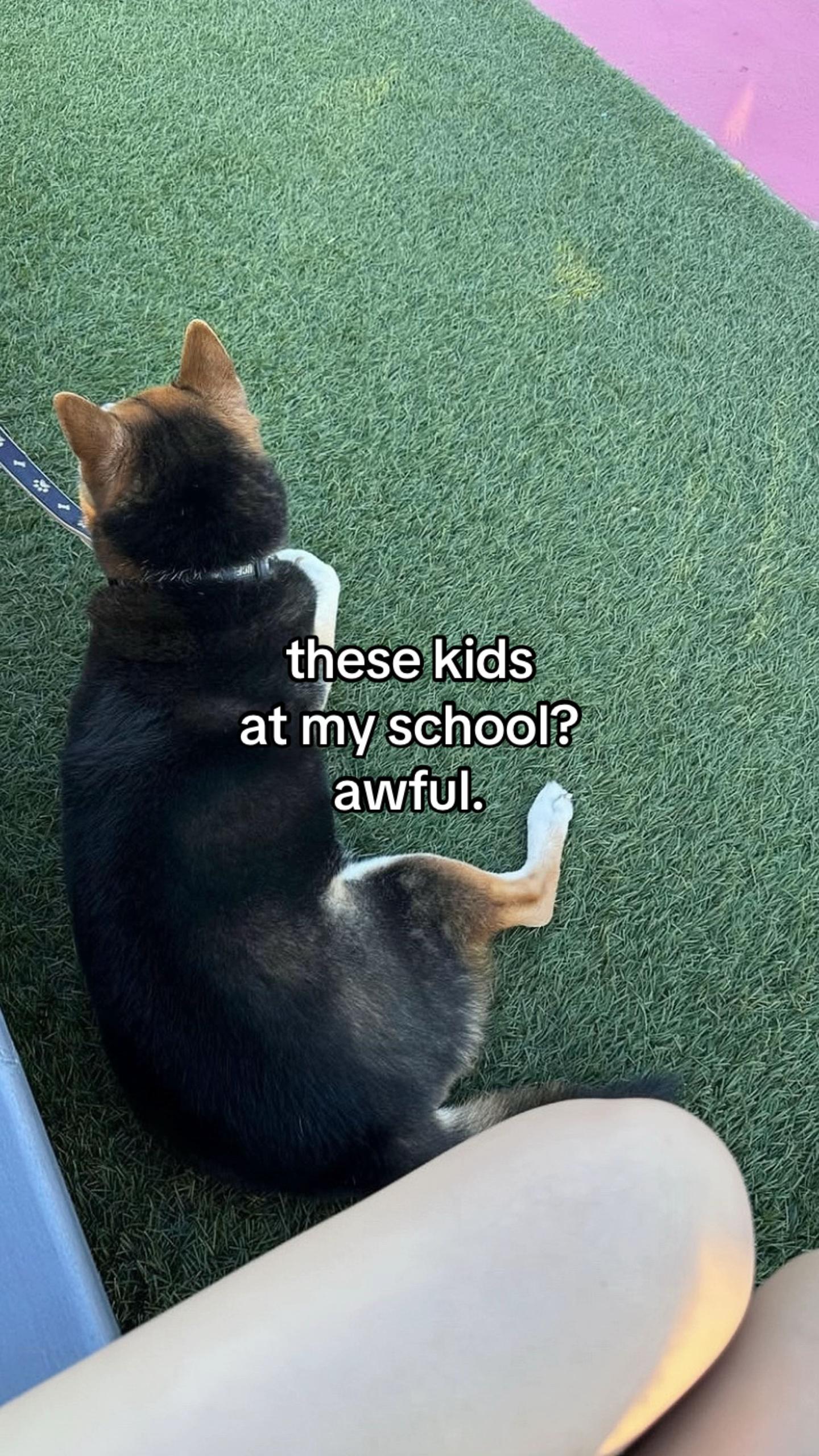 @sowya