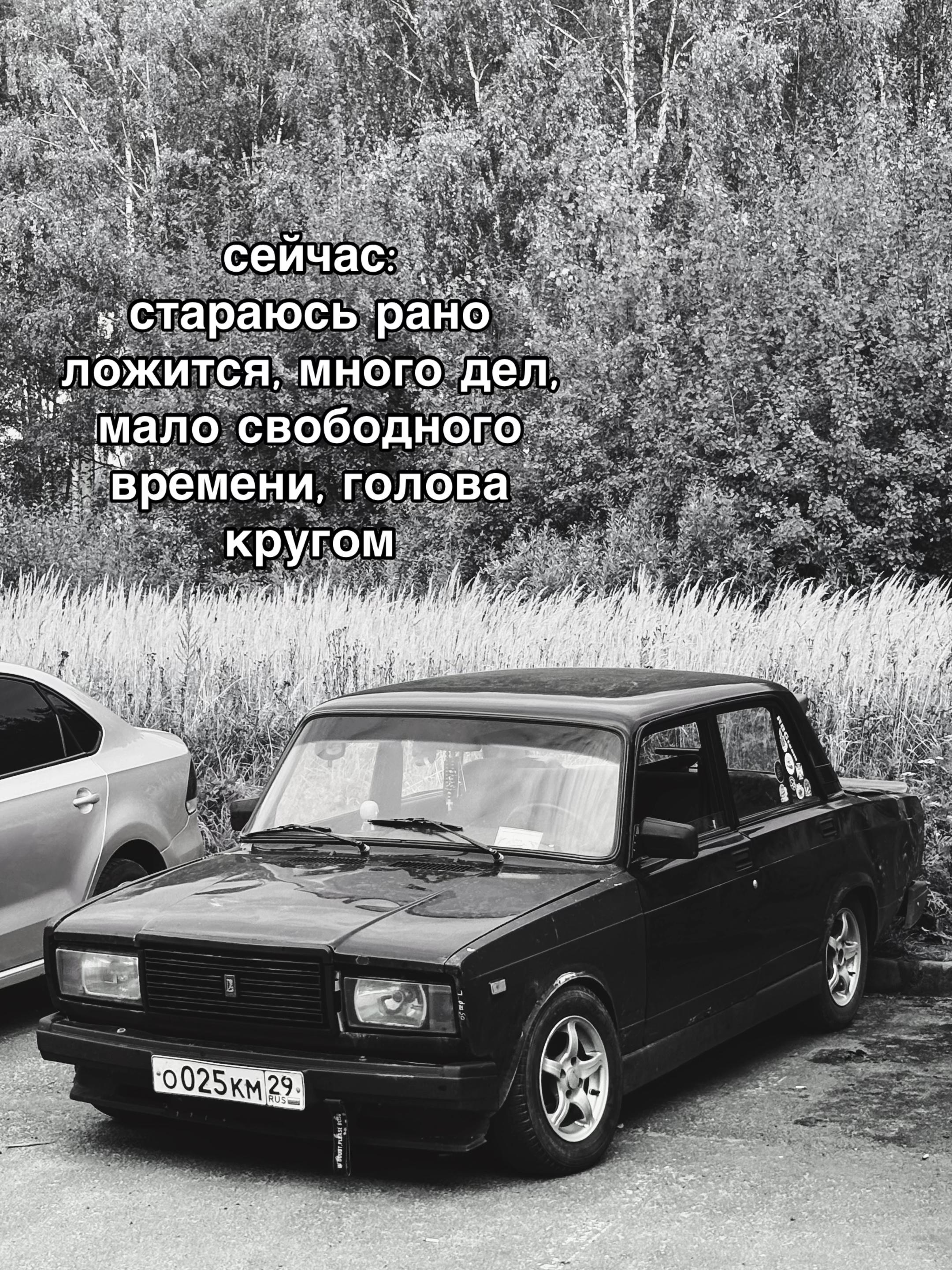@ipalych