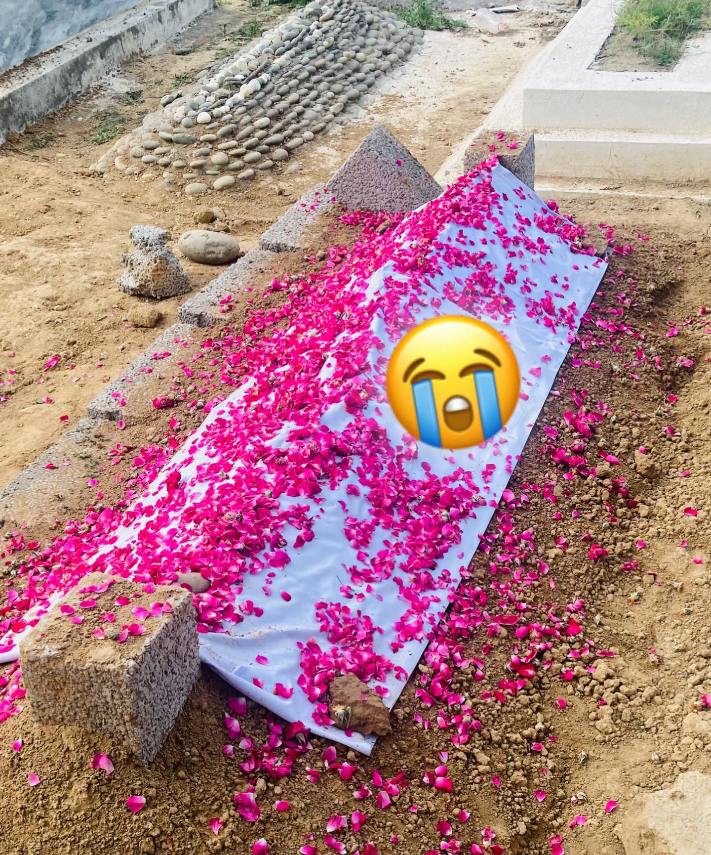 @Habibkhan.307