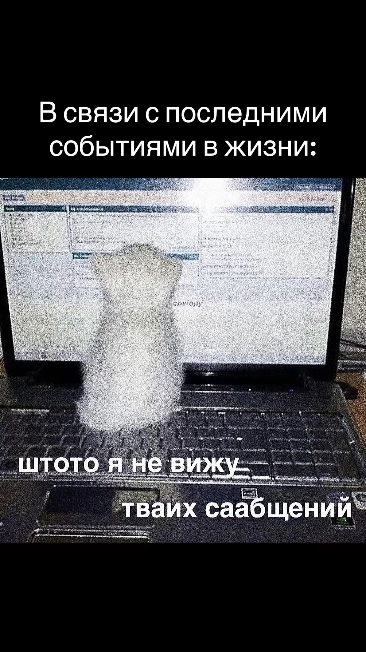 @_Only_Fima_
