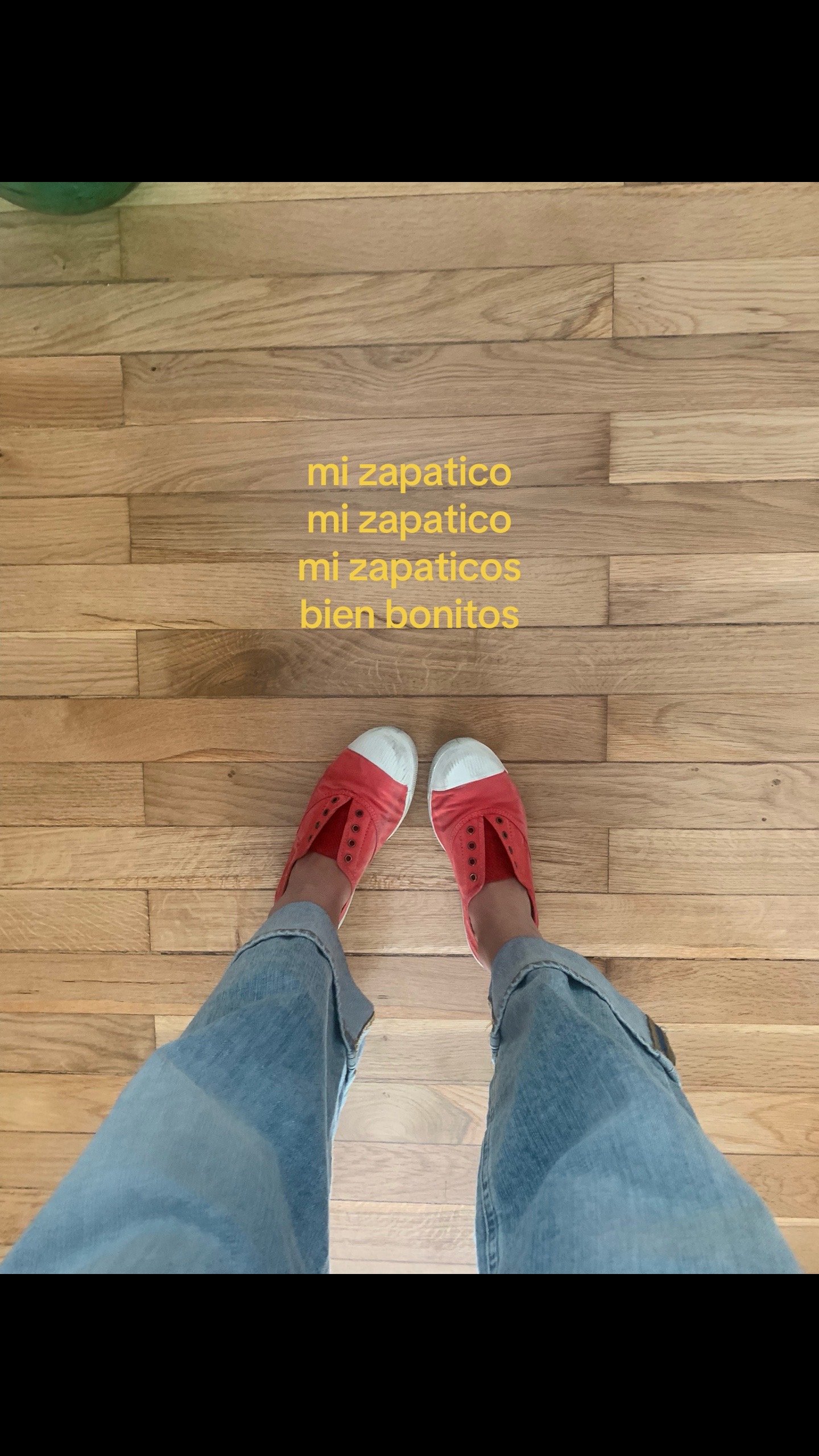 @cerdipous