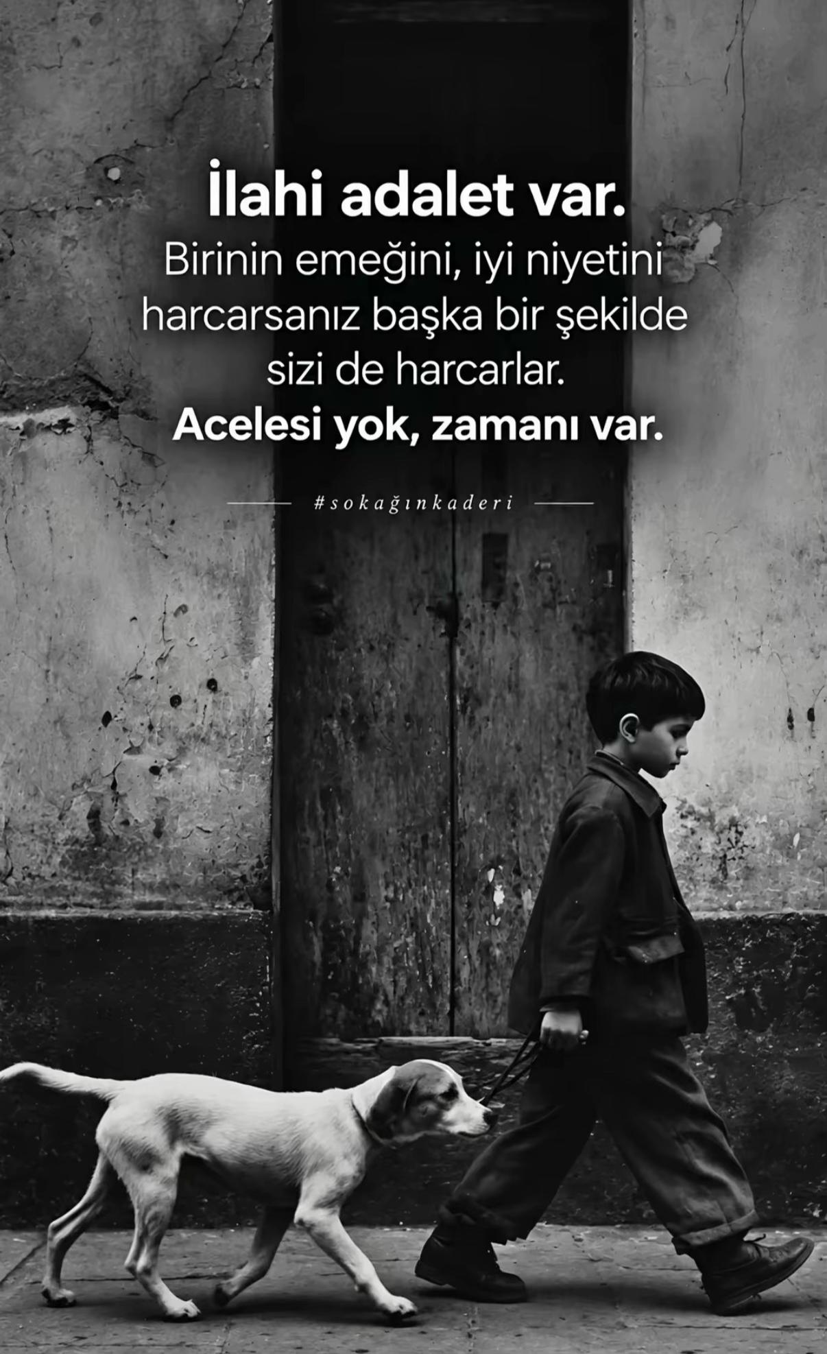 @🇹🇷ALFA🇹🇷
