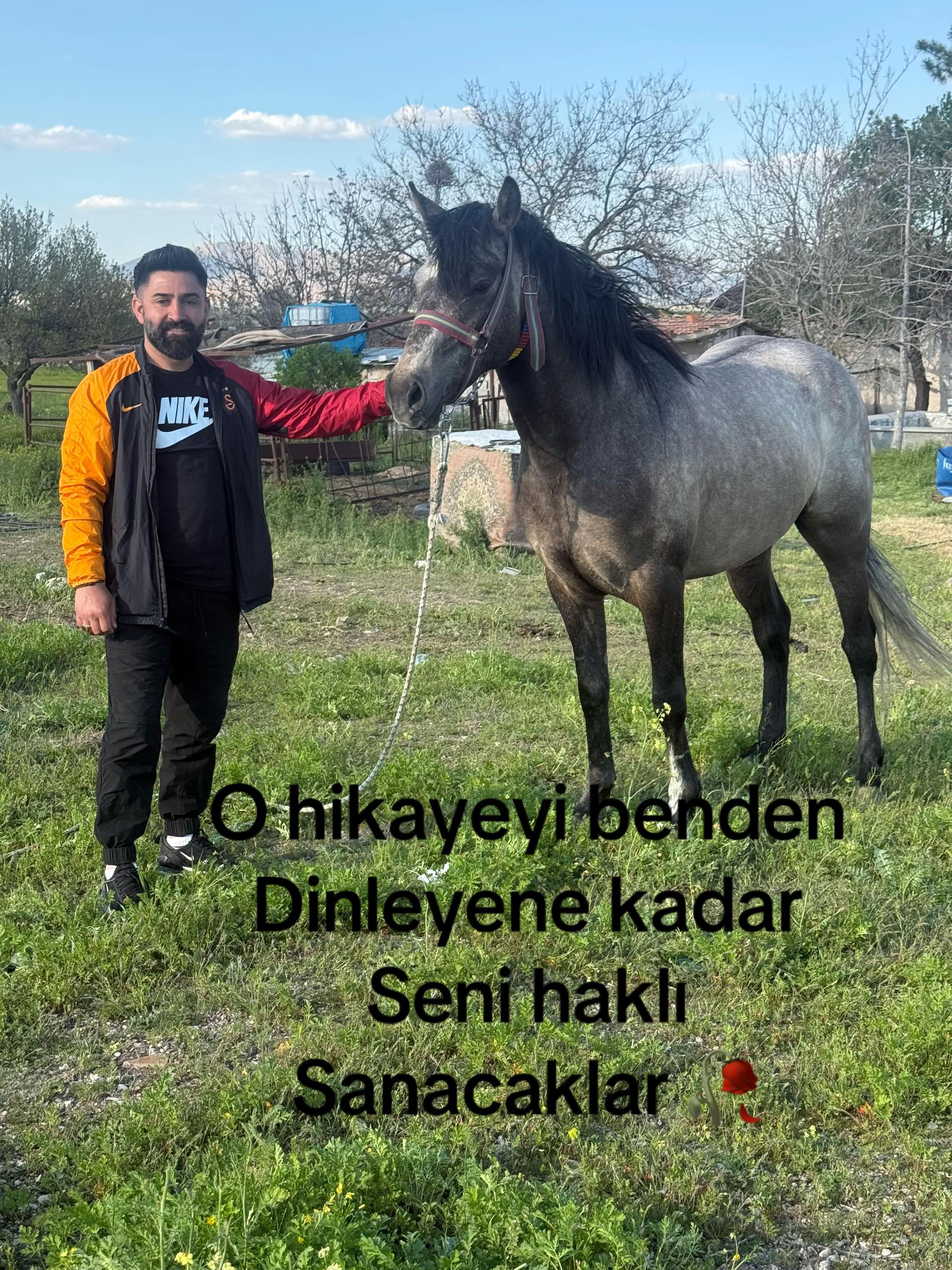@Şahin.&ouml;zg&uuml;n 🎬🎤🦋🐅🐅