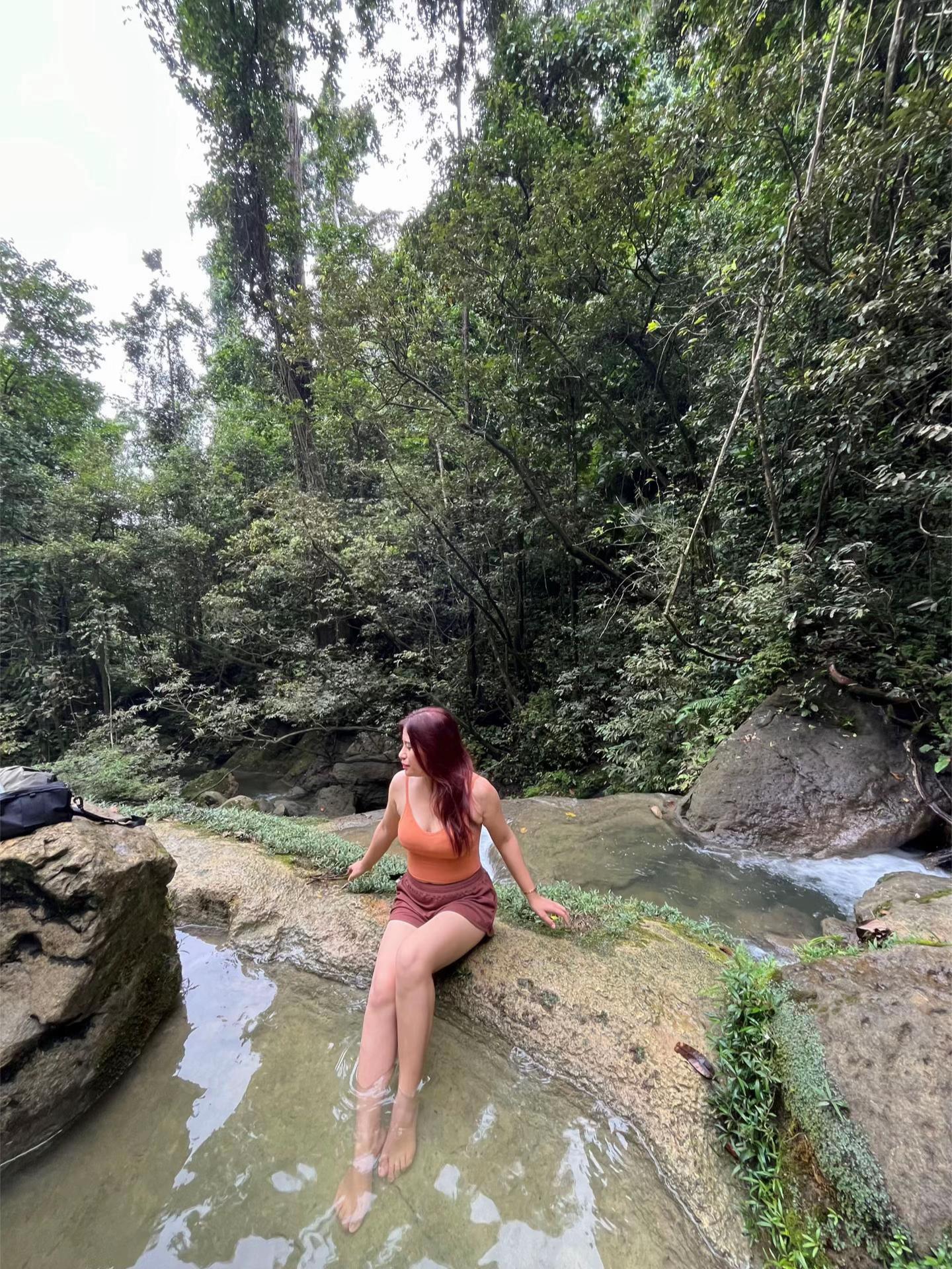 @shifaa
