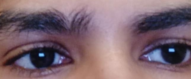 @vidhu